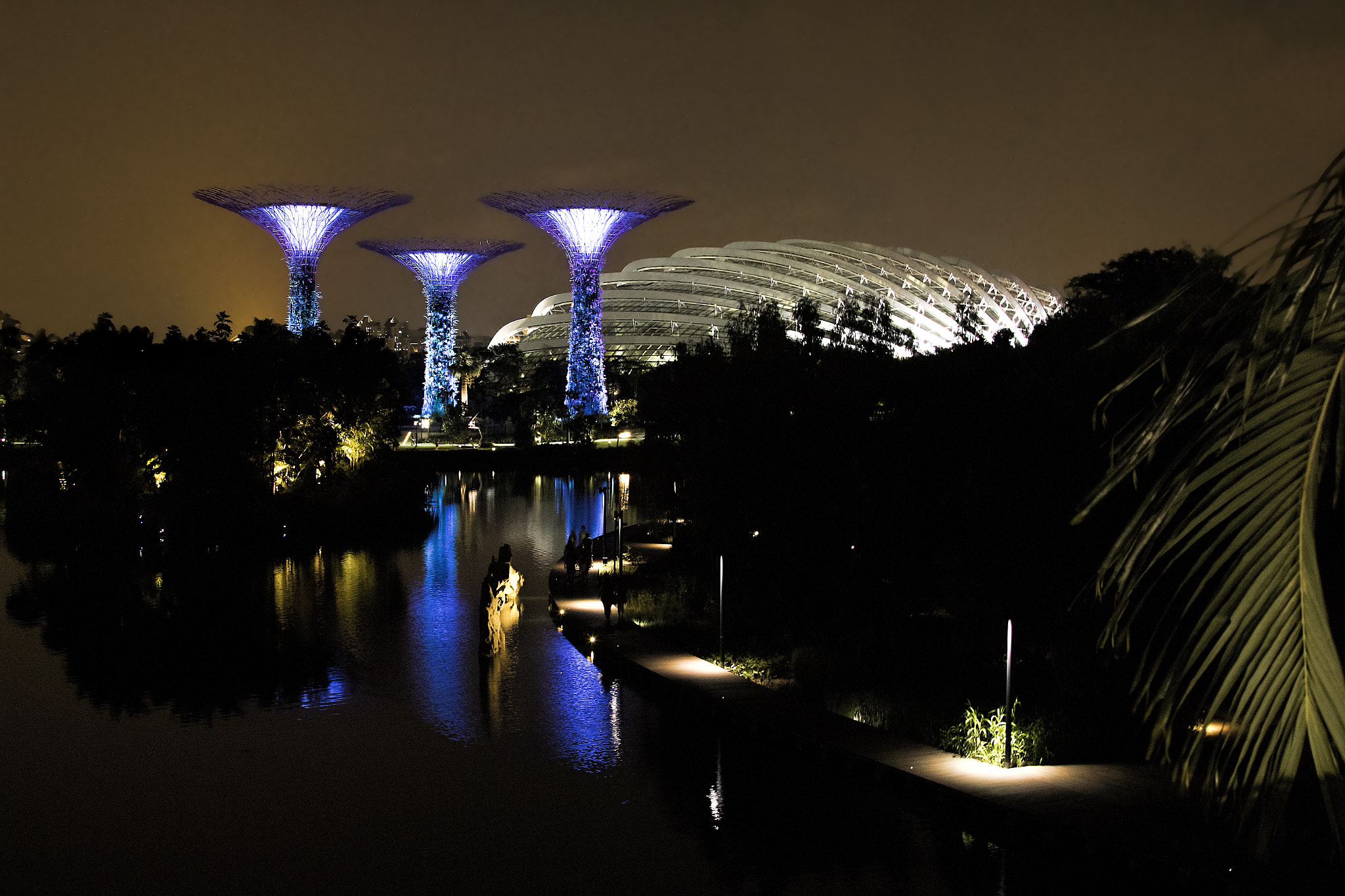 Canon EOS 7D Mark II + Canon EF 28-300mm F3.5-5.6L IS USM sample photo. The gardens by the bay, singapore photography