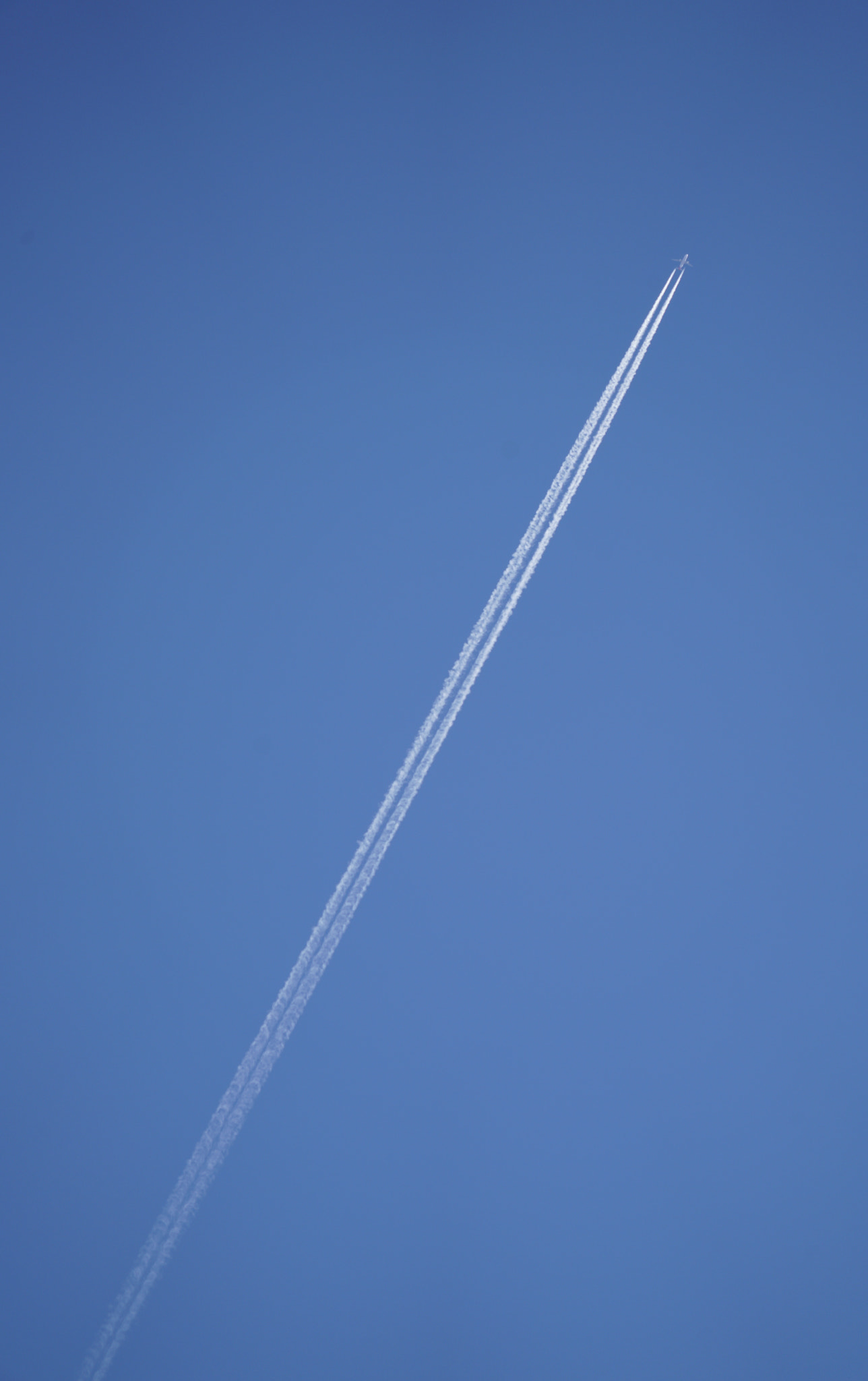 Sony FE 24-240mm F3.5-6.3 OSS sample photo. Blue sky～ photography