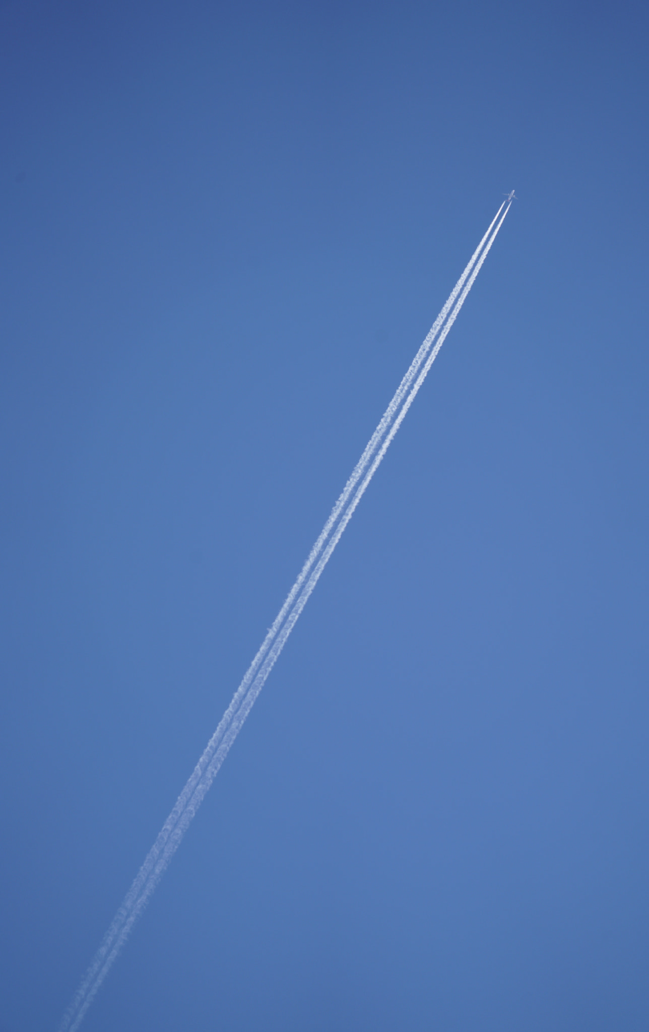 Sony a7R II + Sony FE 24-240mm F3.5-6.3 OSS sample photo. Blue sky～ photography