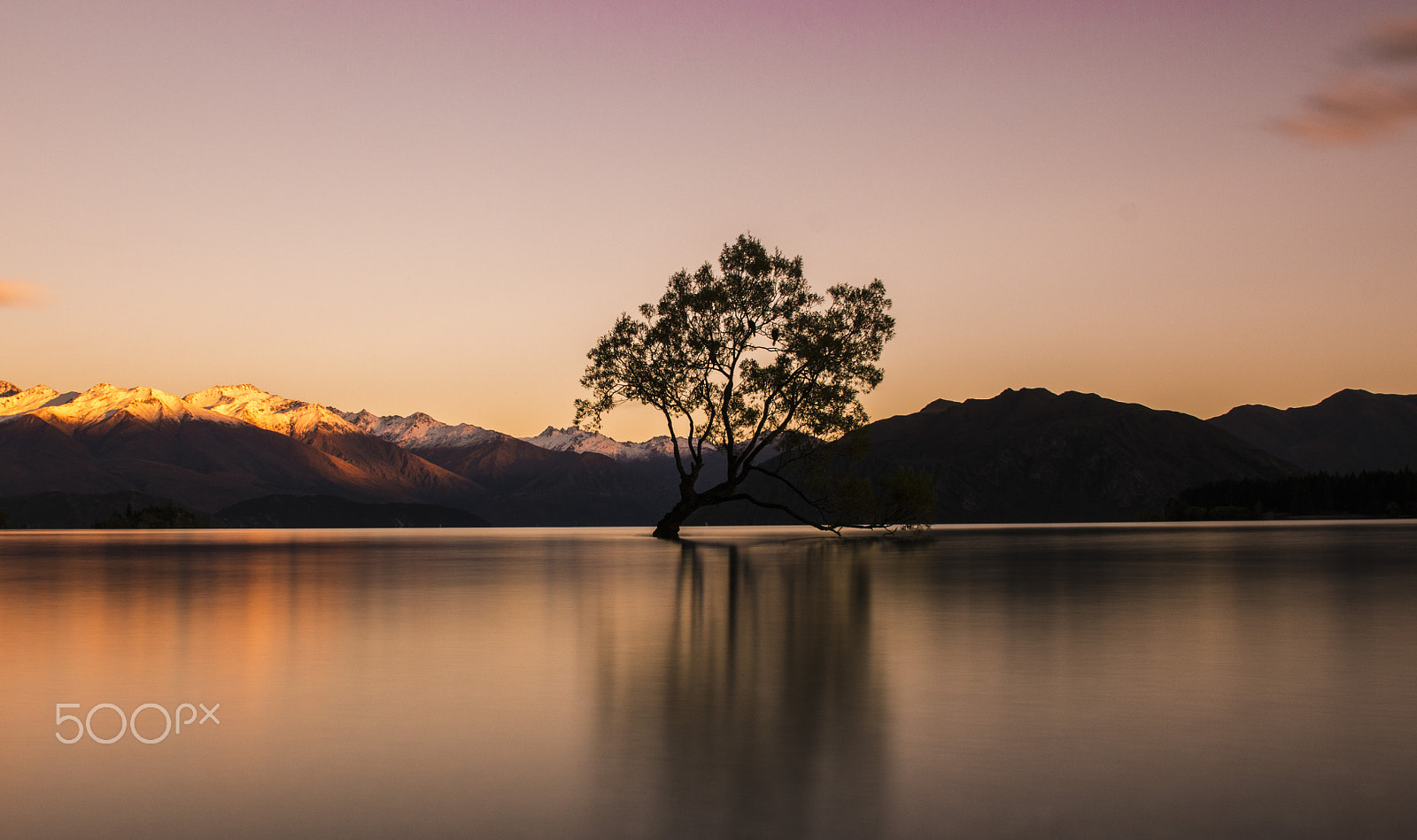 Canon EF-S 18-135mm F3.5-5.6 IS sample photo. That wanaka tree photography