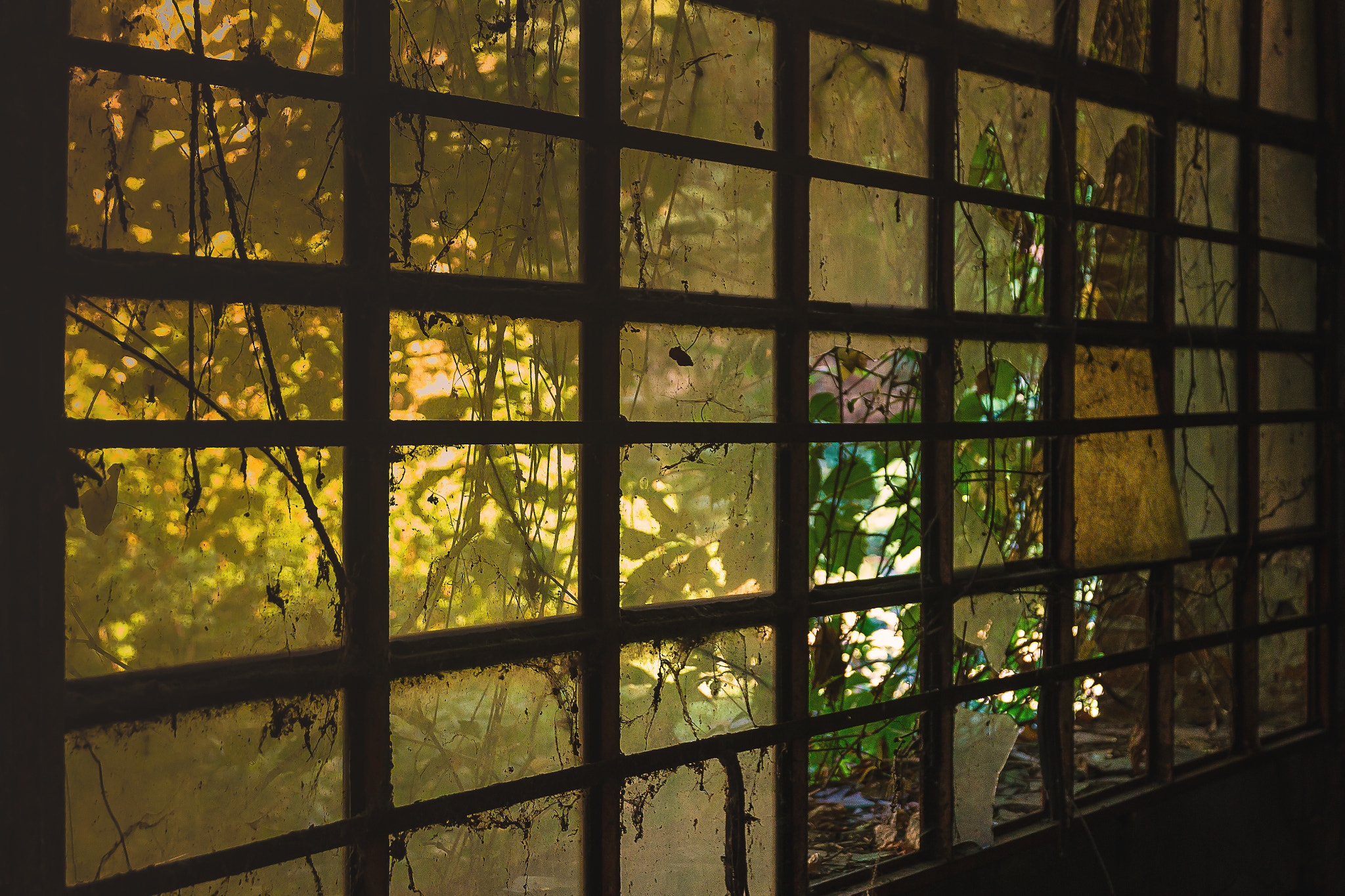 Sigma 17-70mm F2.8-4 DC Macro OS HSM sample photo. Window photography