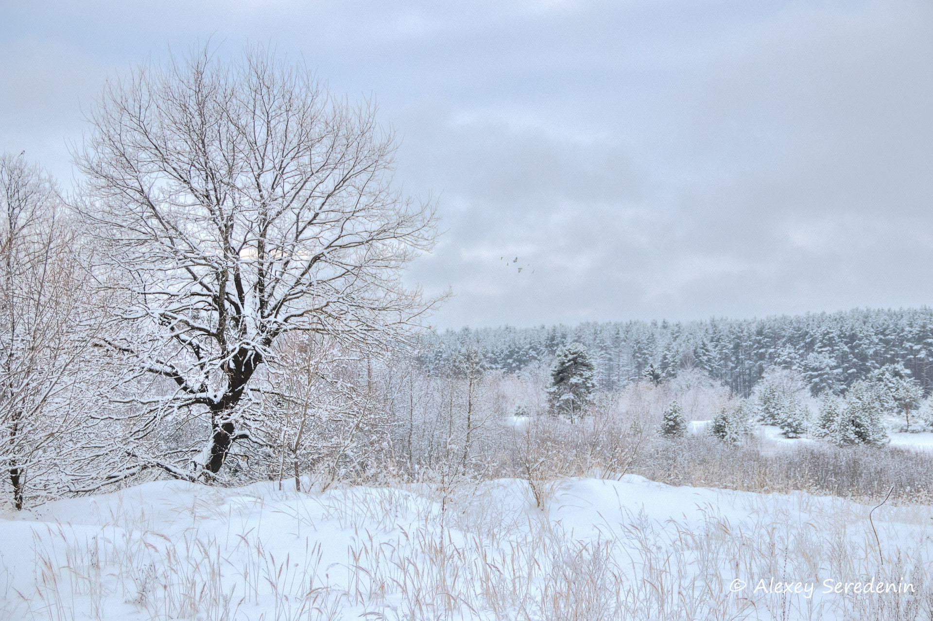 Canon EF-S 18-135mm F3.5-5.6 IS sample photo. Outskirts of the village. photography