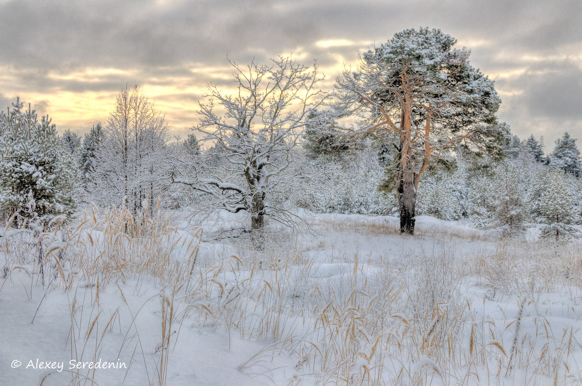 Canon EF-S 18-135mm F3.5-5.6 IS sample photo. Sunset in winter forest. photography
