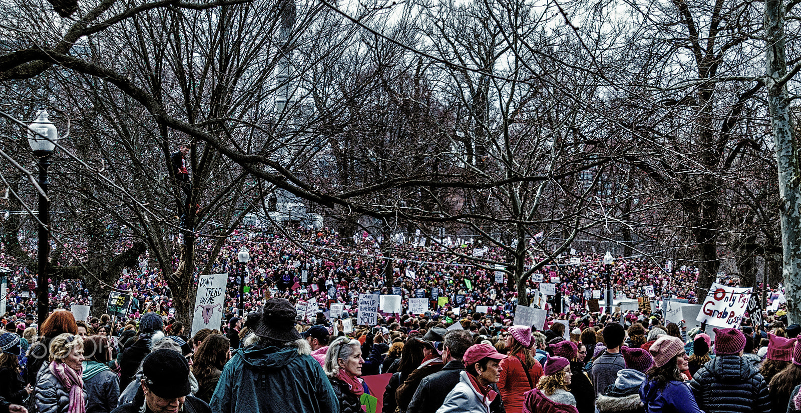 Canon EOS 7D + Sigma 18-200mm f/3.5-6.3 DC OS sample photo. March against trump photography