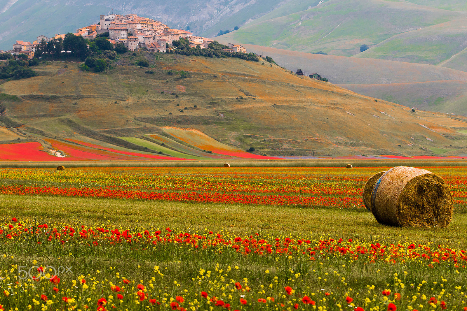 Canon EF 70-200mm F2.8L IS USM sample photo. Catelluccio - norcia photography