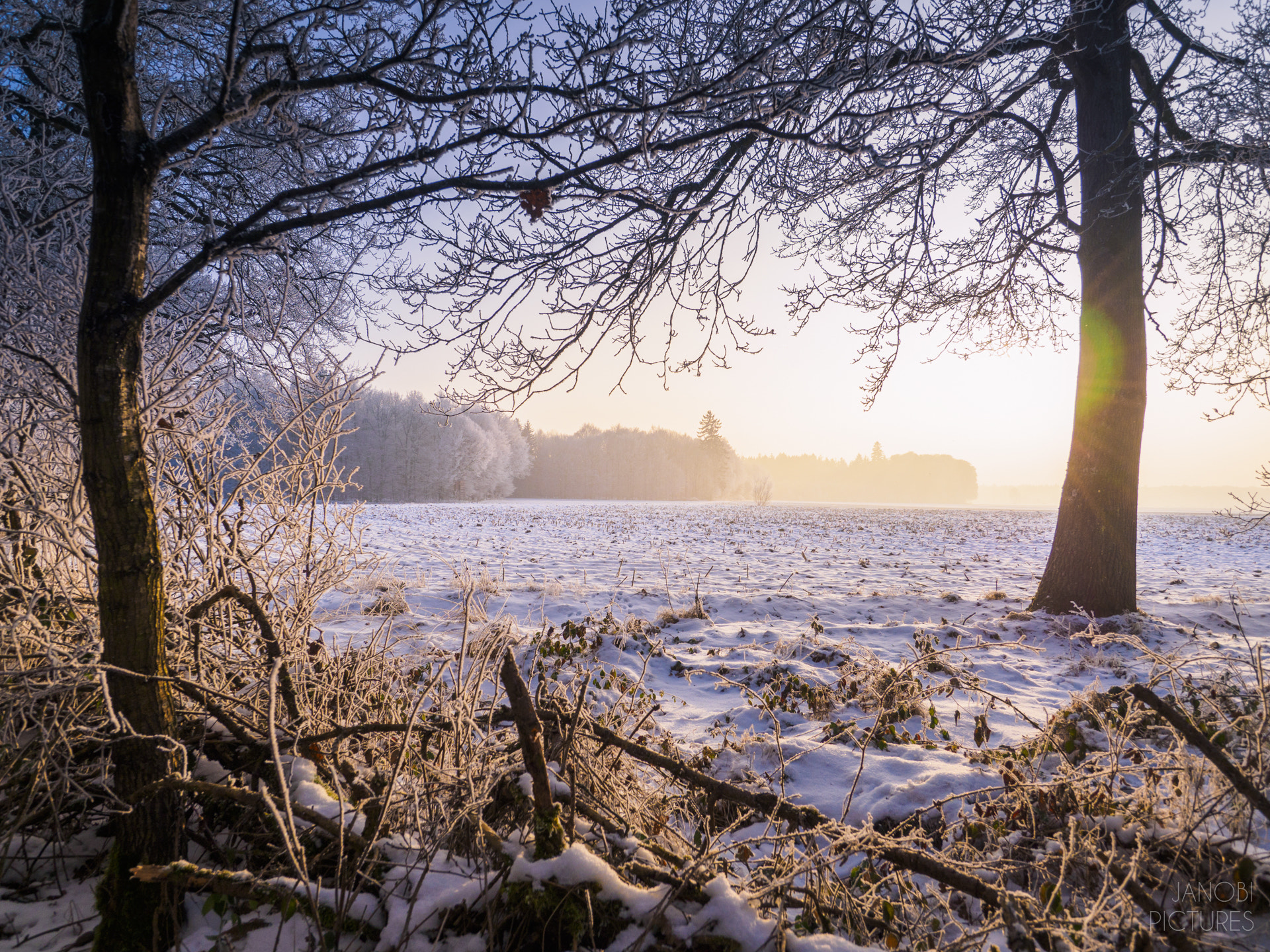 Olympus OM-D E-M5 II + OLYMPUS M.9-18mm F4.0-5.6 sample photo. ~ winter evening ~ photography