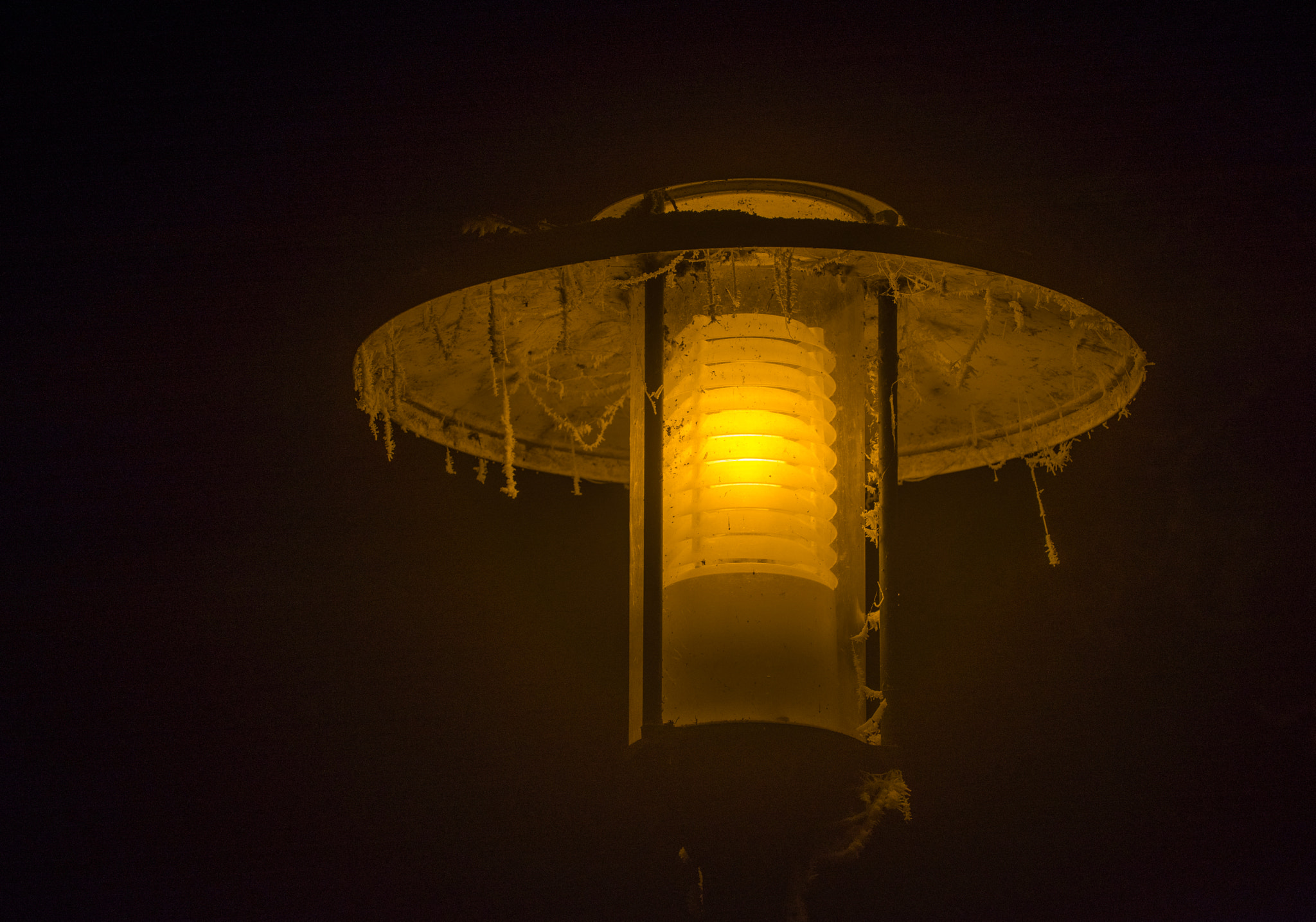 Sony a7R + Sony FE 70-200mm F4 G OSS sample photo. Street light photography