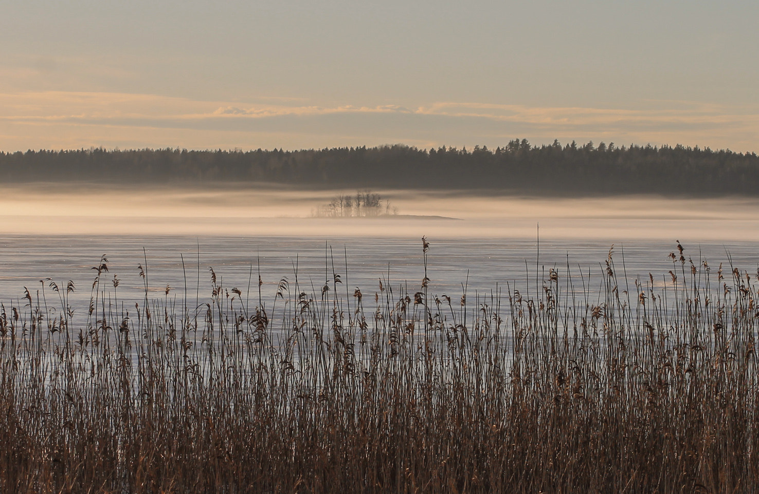 Canon EOS 1100D (EOS Rebel T3 / EOS Kiss X50) sample photo. Fog in tammisaari, finland photography