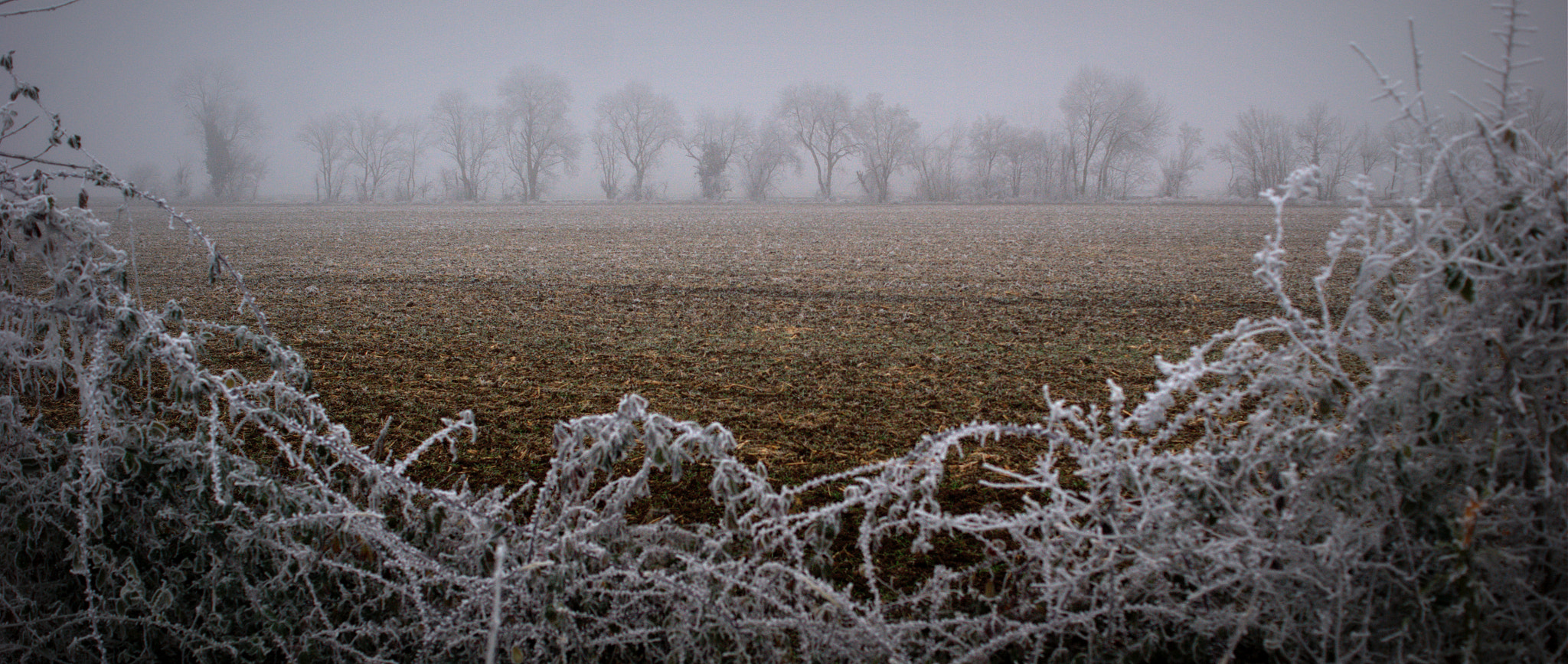 Sony Alpha DSLR-A290 + Sony DT 35mm F1.8 SAM sample photo. Frosty countryside photography