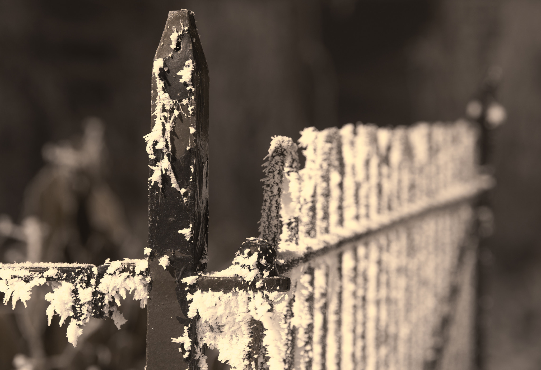 Sony a7R + Sony FE 70-200mm F4 G OSS sample photo. Gate to... photography