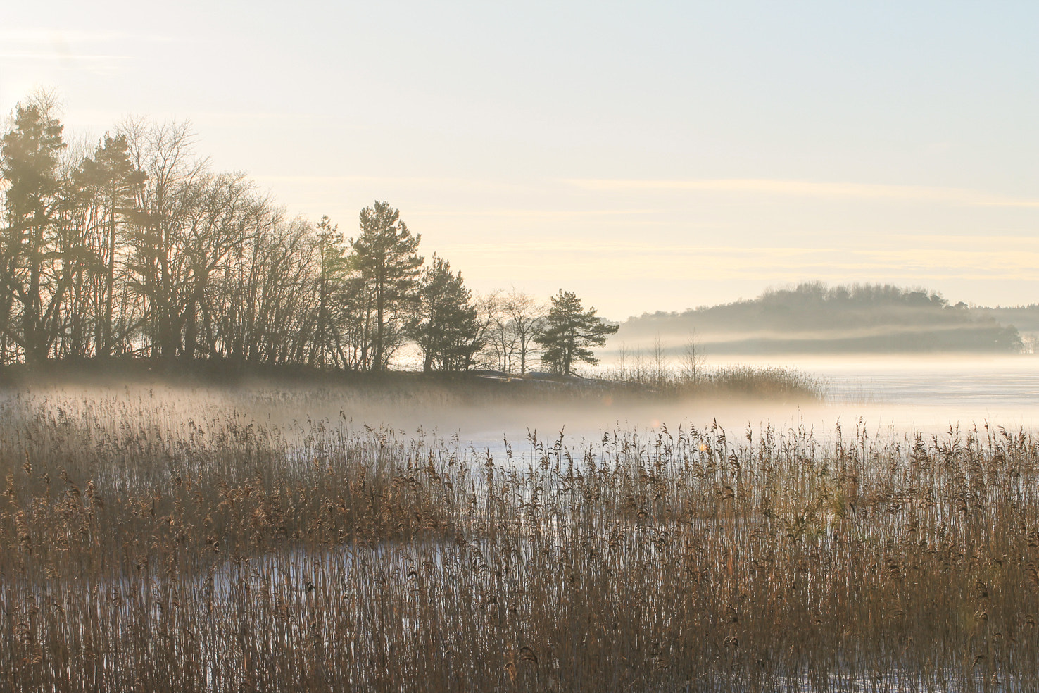 Canon EOS 1100D (EOS Rebel T3 / EOS Kiss X50) sample photo. Misty tammisaari in finland photography