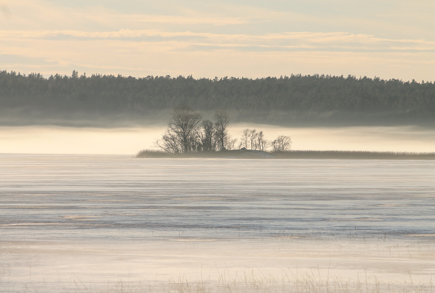 Canon EOS 1100D (EOS Rebel T3 / EOS Kiss X50) sample photo. Misty tammisaari in finland photography