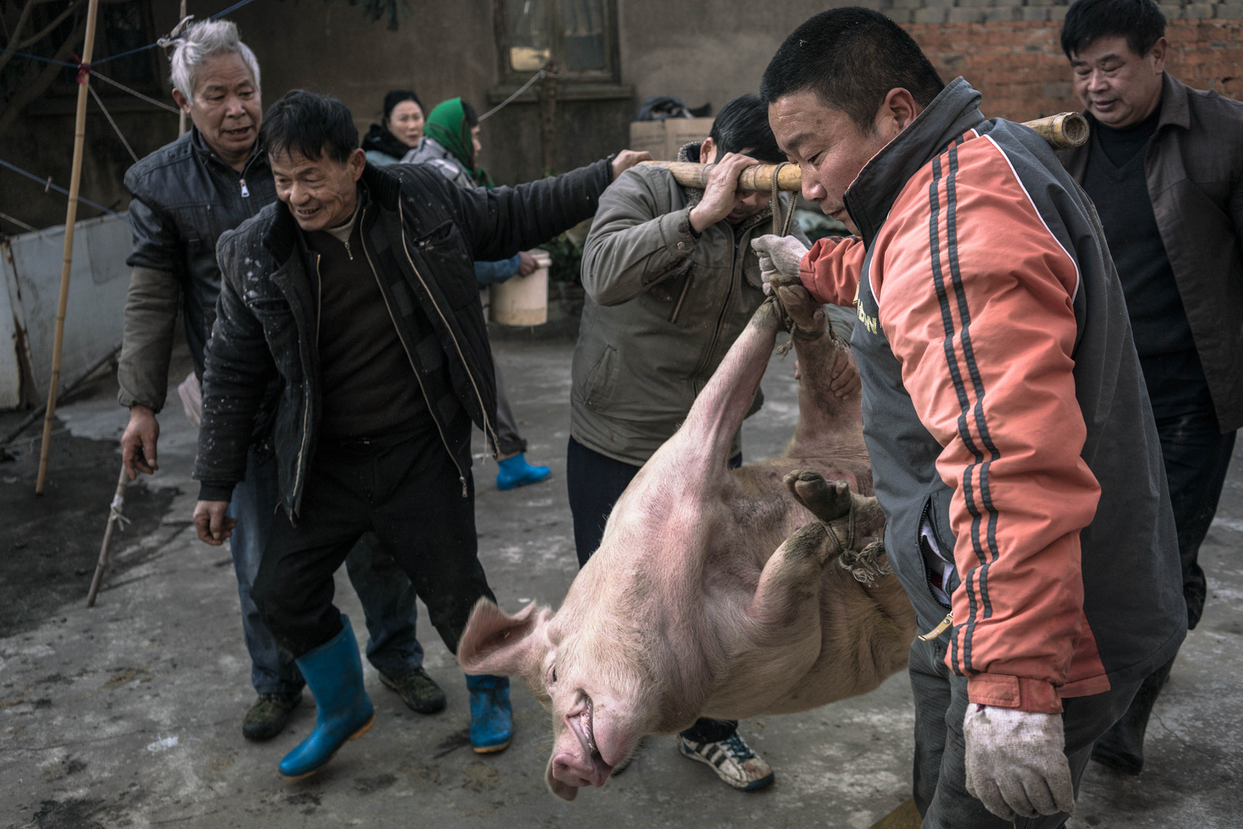 Sony a7R II + Sony Sonnar T* FE 35mm F2.8 ZA sample photo. Chinese new year photography