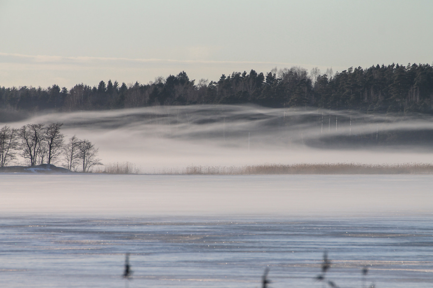 Canon EOS 1100D (EOS Rebel T3 / EOS Kiss X50) sample photo. Misty tammisaari in finland photography
