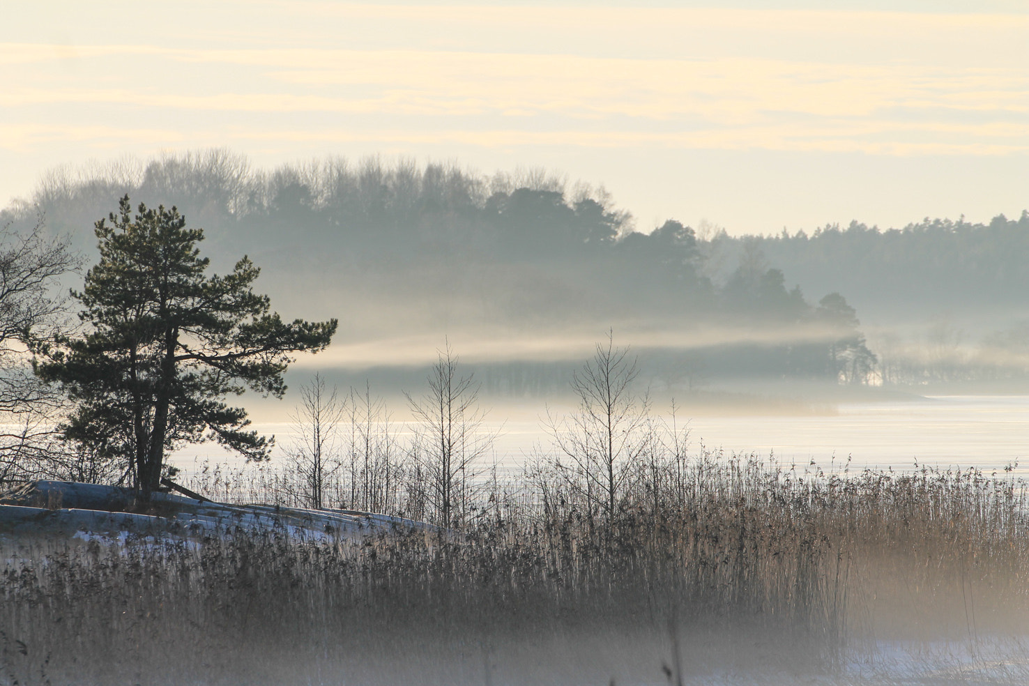 Canon EOS 1100D (EOS Rebel T3 / EOS Kiss X50) sample photo. Misty tammisaari in finland photography