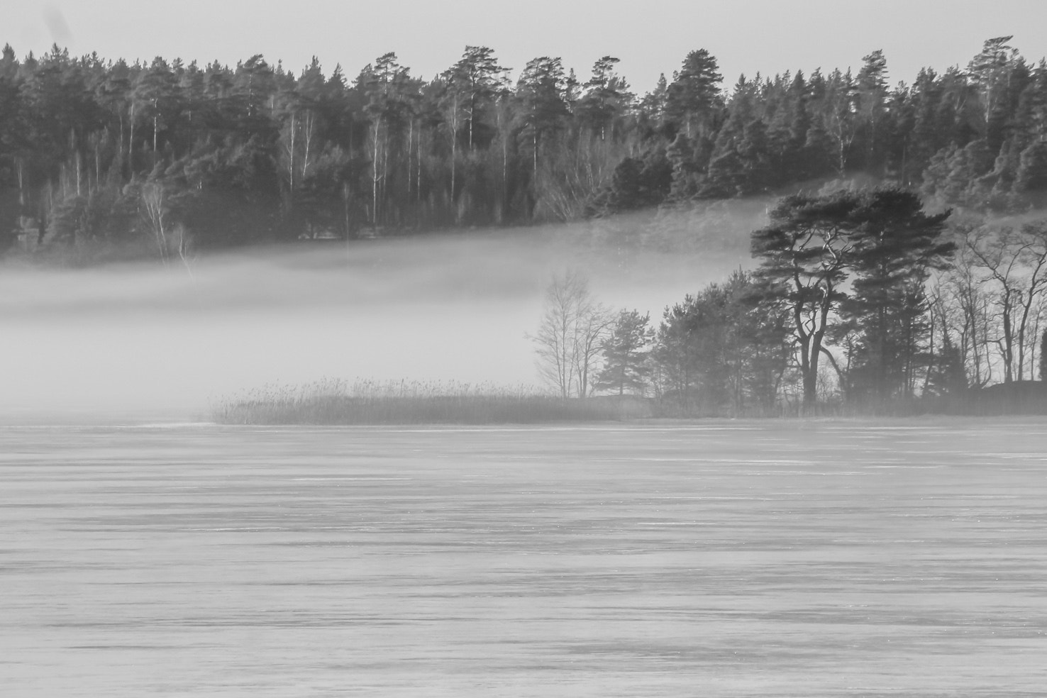 Canon EOS 1100D (EOS Rebel T3 / EOS Kiss X50) sample photo. Black and white mist photography