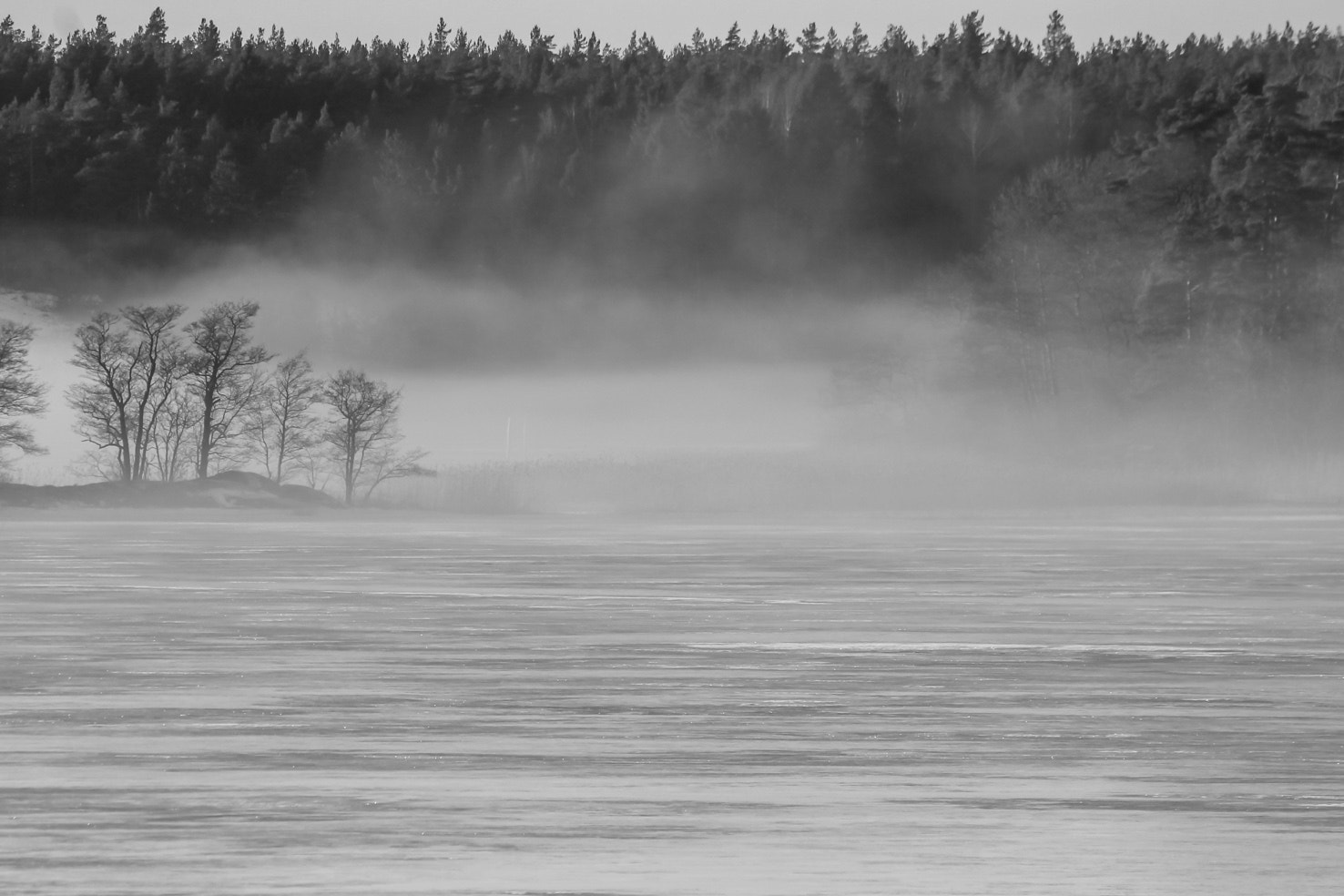 Canon EOS 1100D (EOS Rebel T3 / EOS Kiss X50) sample photo. Black and white mist photography