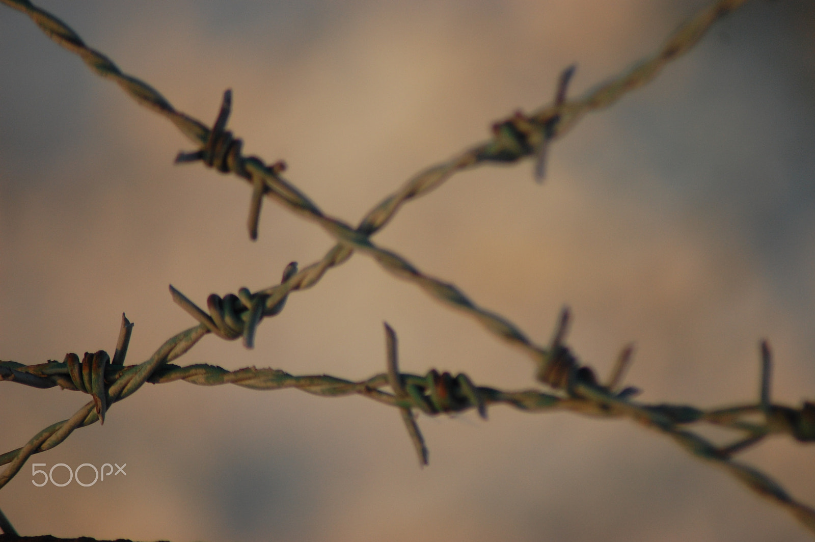 Nikon AF Nikkor 70-300mm F4-5.6G sample photo. Borders and fences photography