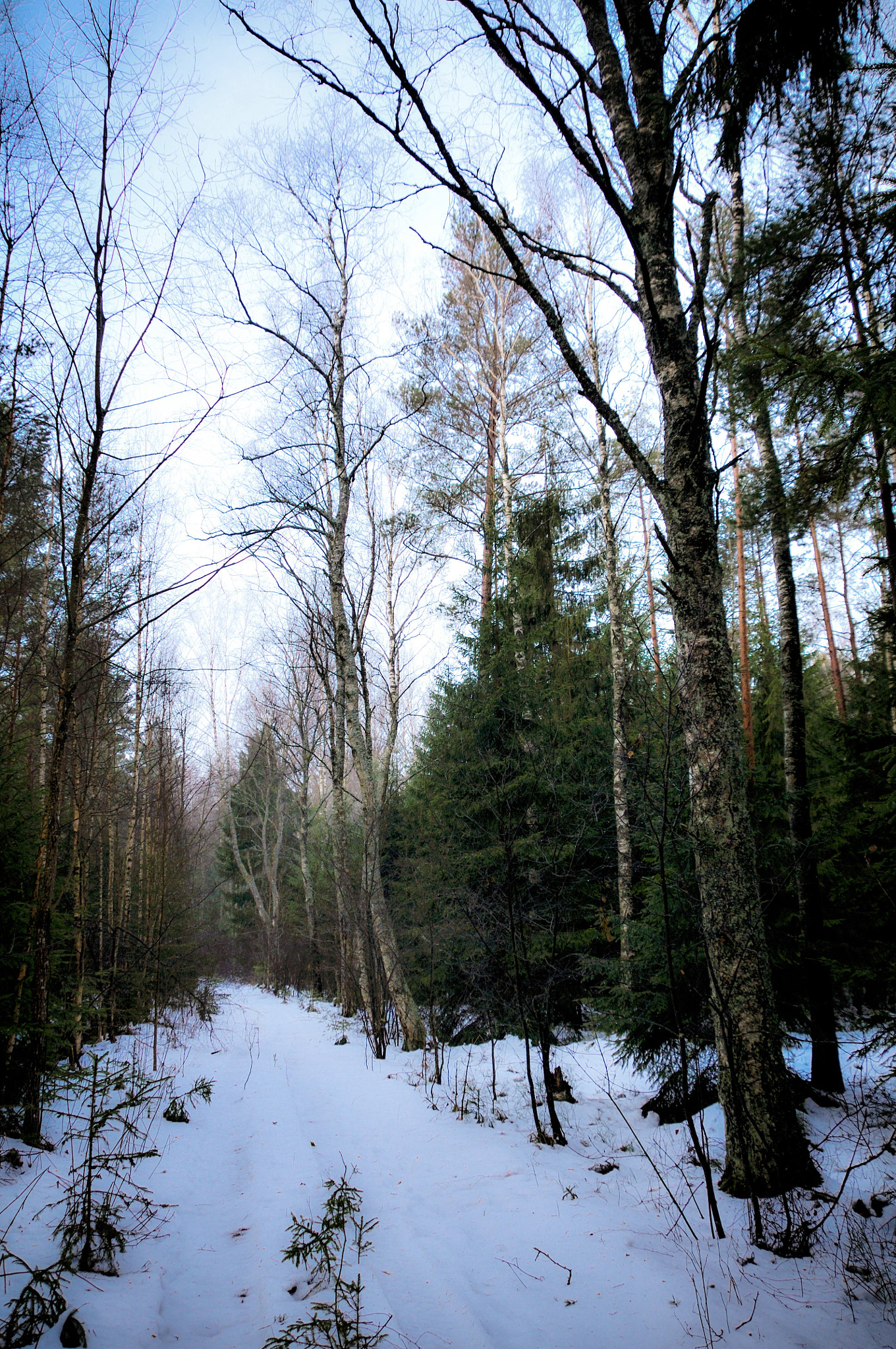 Nikon D300 sample photo. Thaw photography