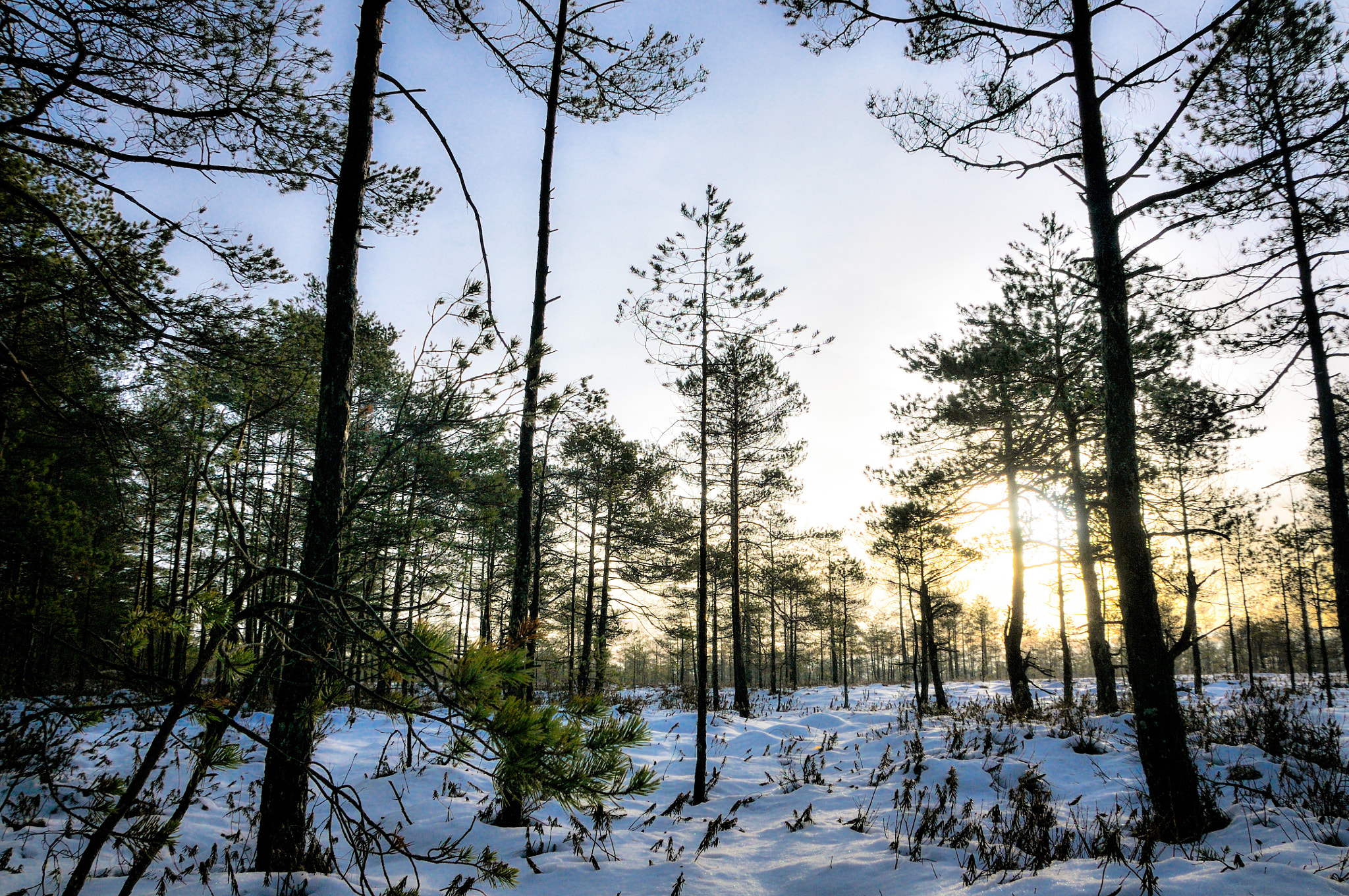 Nikon D300 sample photo. Thaw photography