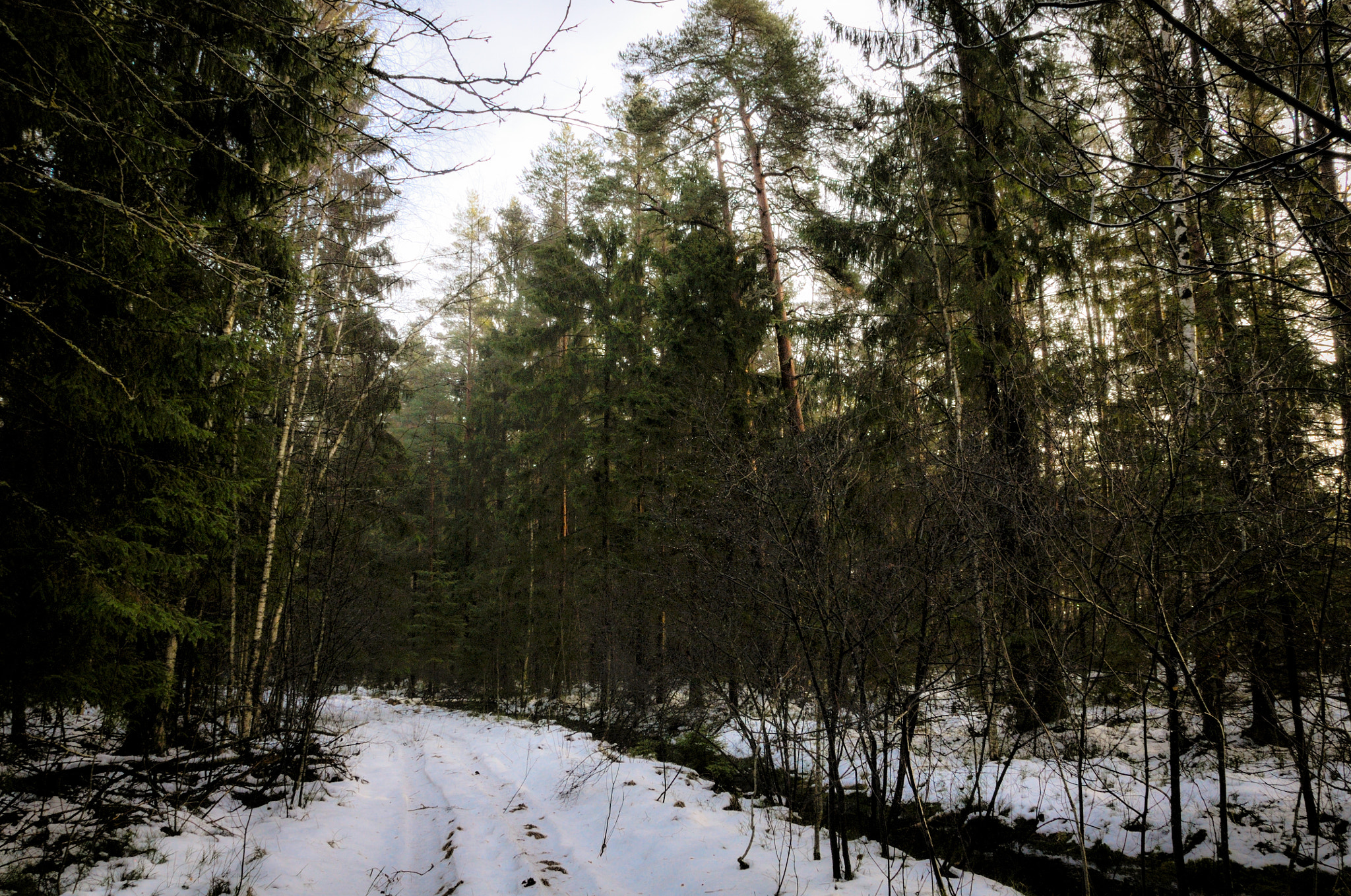 Nikon D300 sample photo. Thaw photography