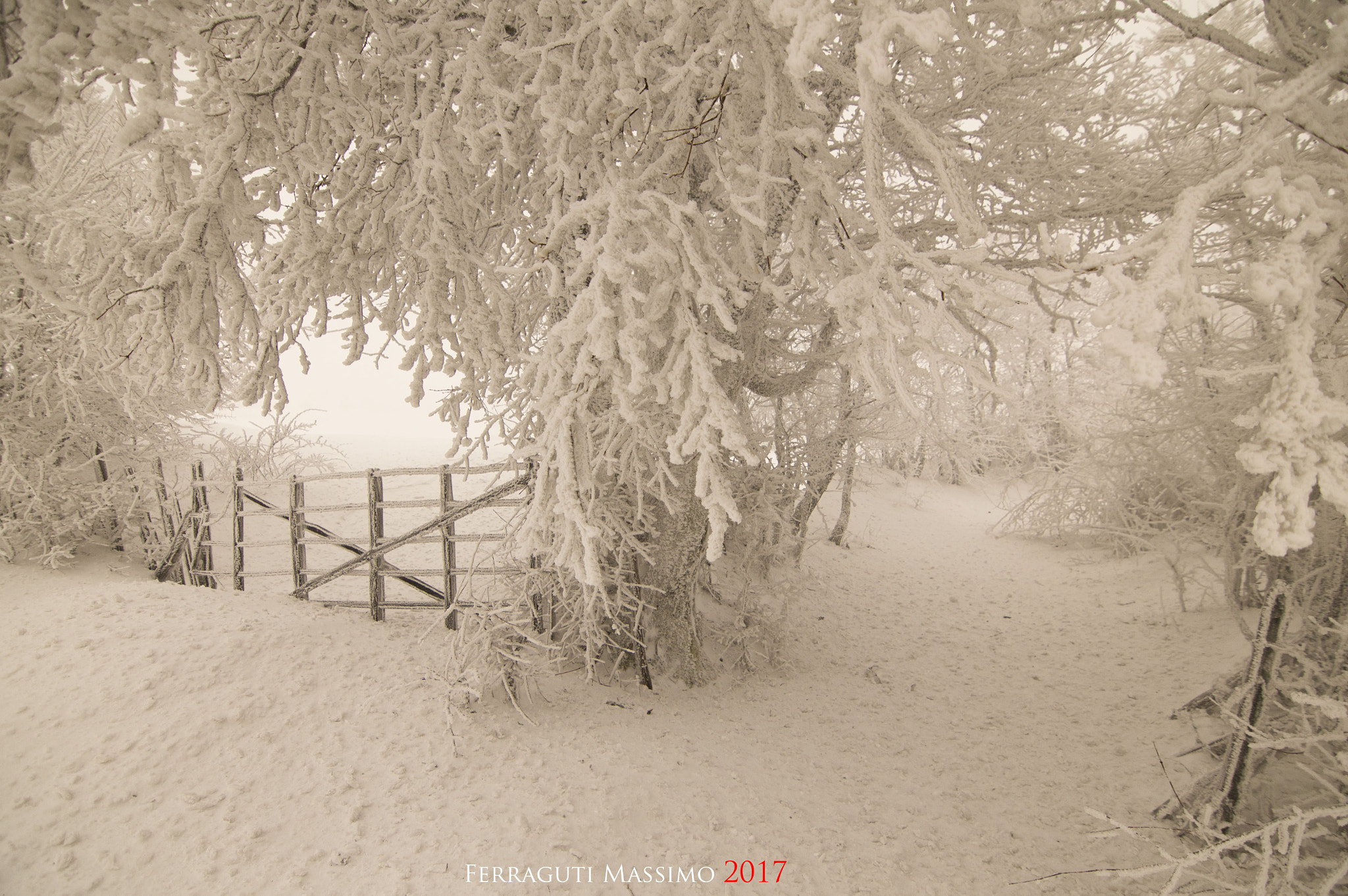 Nikon D3200 sample photo. ...verso il monte fumaiolo... photography