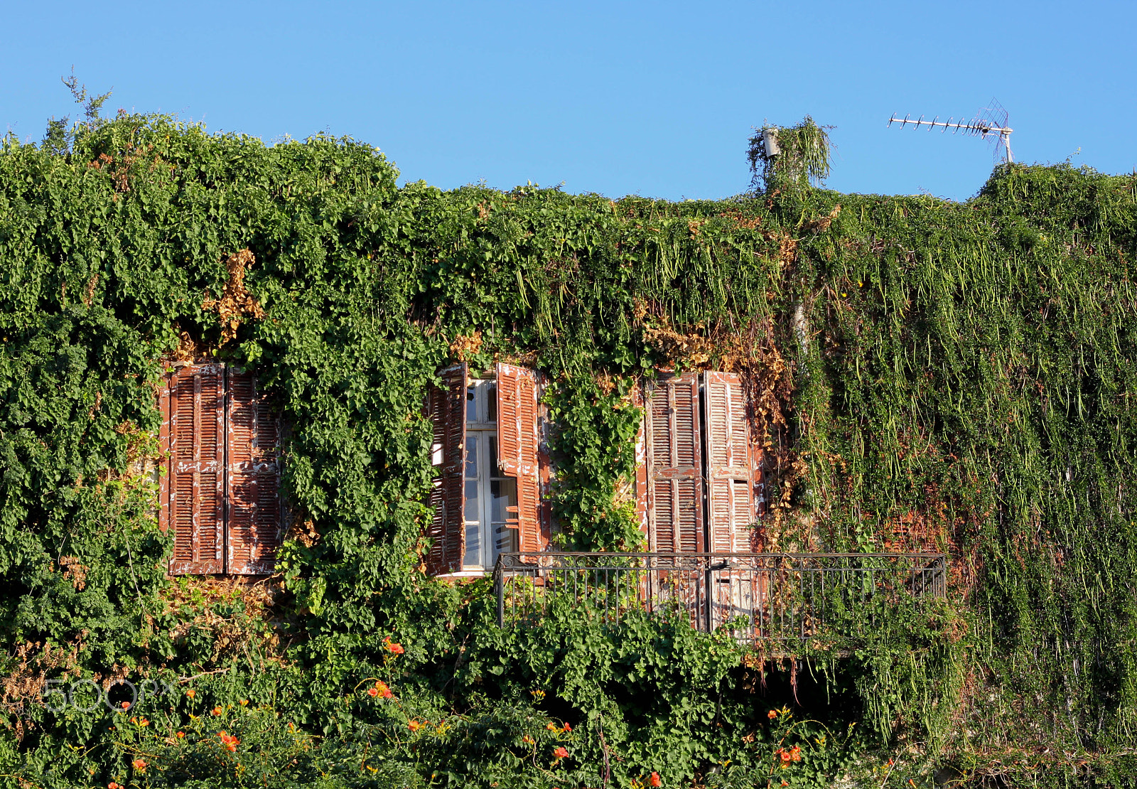 Canon EOS 500D (EOS Rebel T1i / EOS Kiss X3) sample photo. Nafplio photography