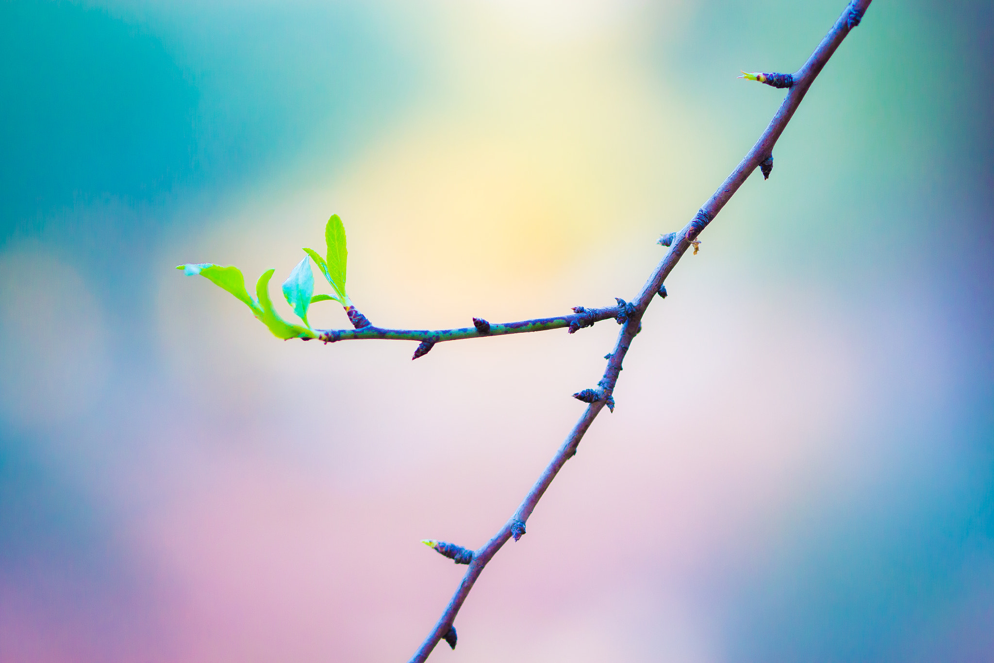 Canon EF 100mm F2.8 Macro USM sample photo. Life photography