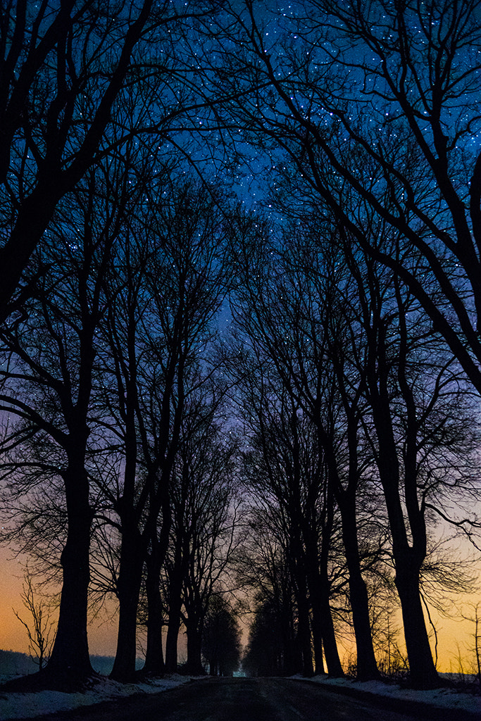 Sony a99 II + Sony 28-75mm F2.8 SAM sample photo. (intothenight) photography