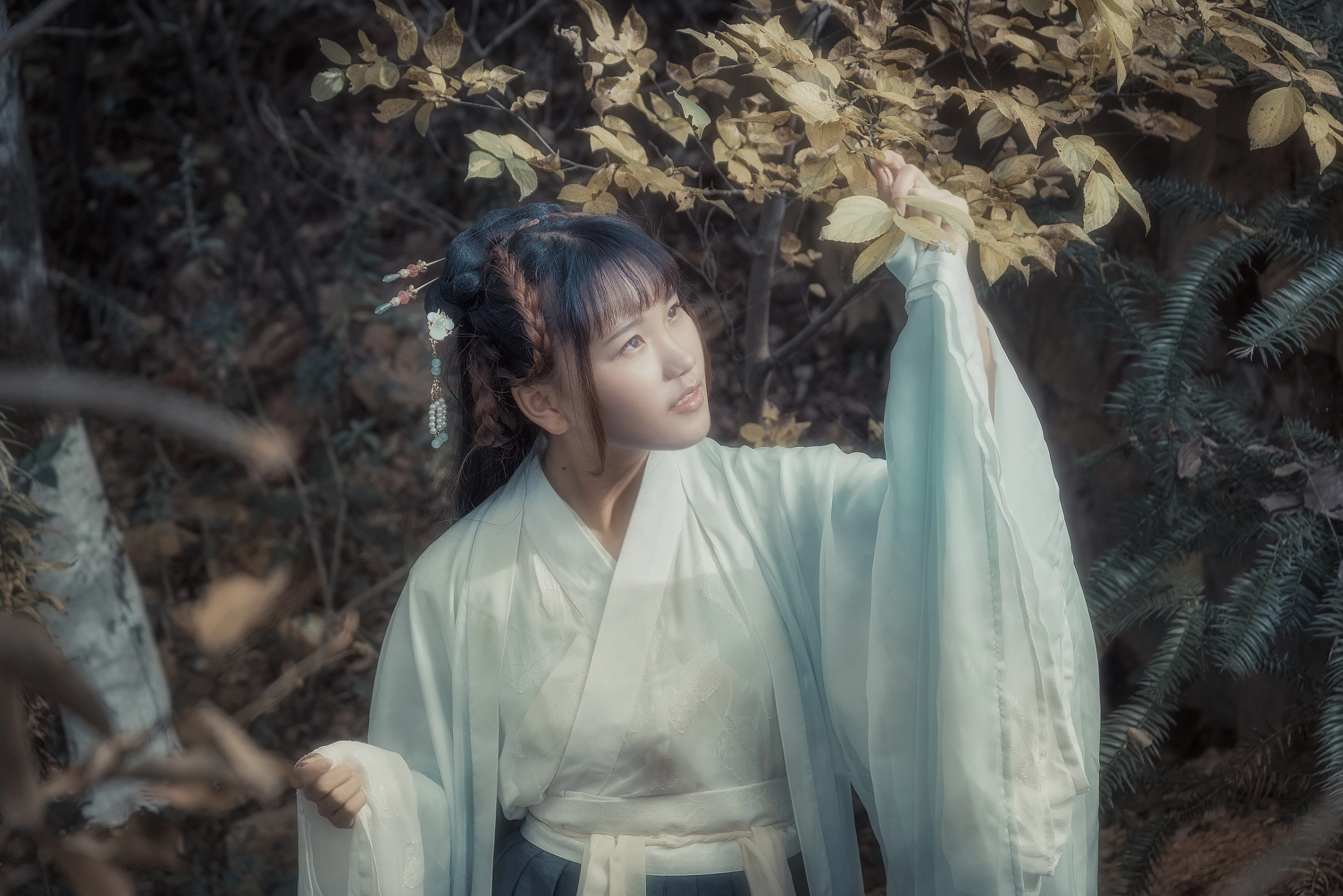 Nikon D810 + Nikon AF-S Nikkor 24-85mm F3.5-4.5G ED VR sample photo. Hanfu photography