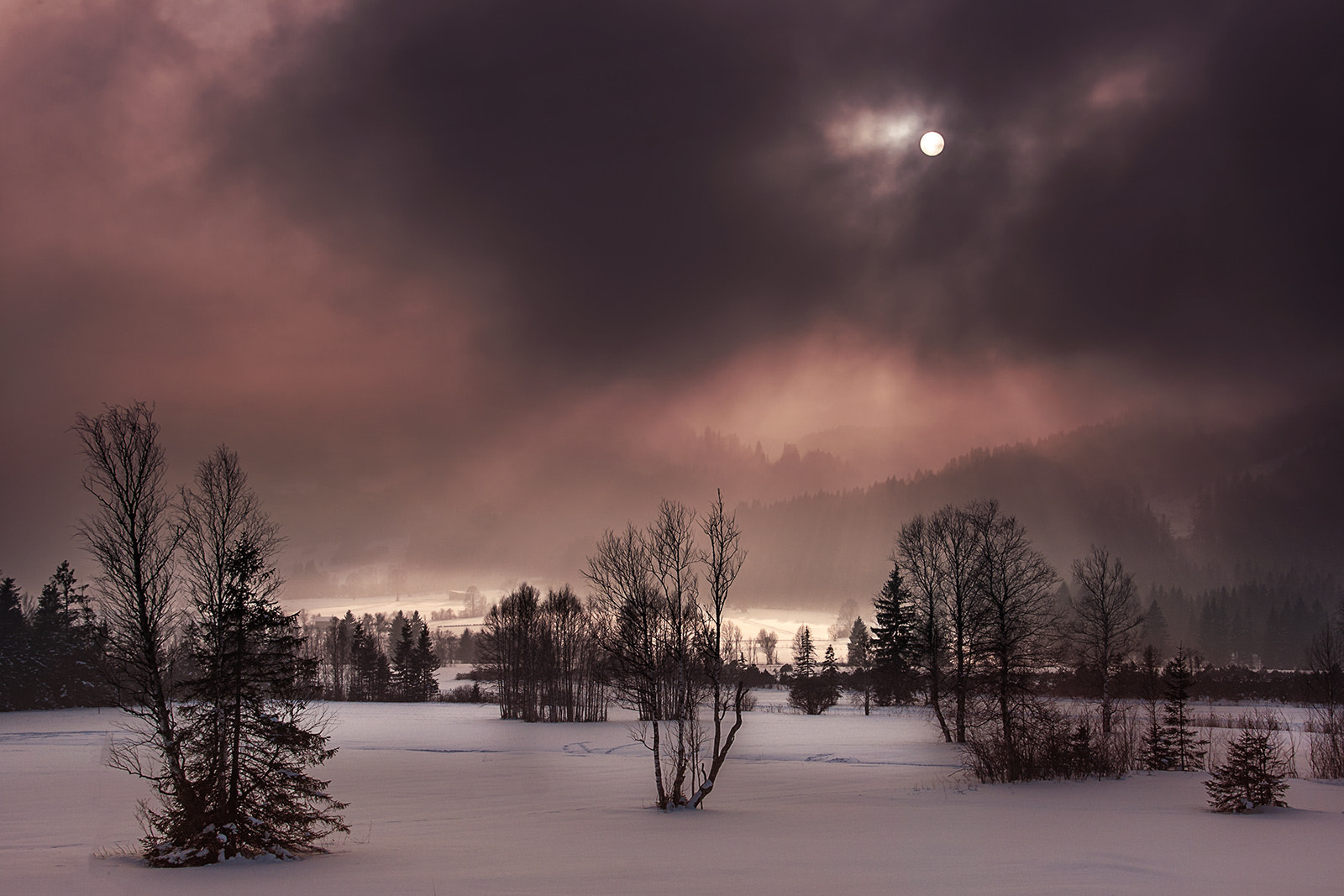 Sigma 18-200mm f/3.5-6.3 DC OS sample photo. Winterlight photography