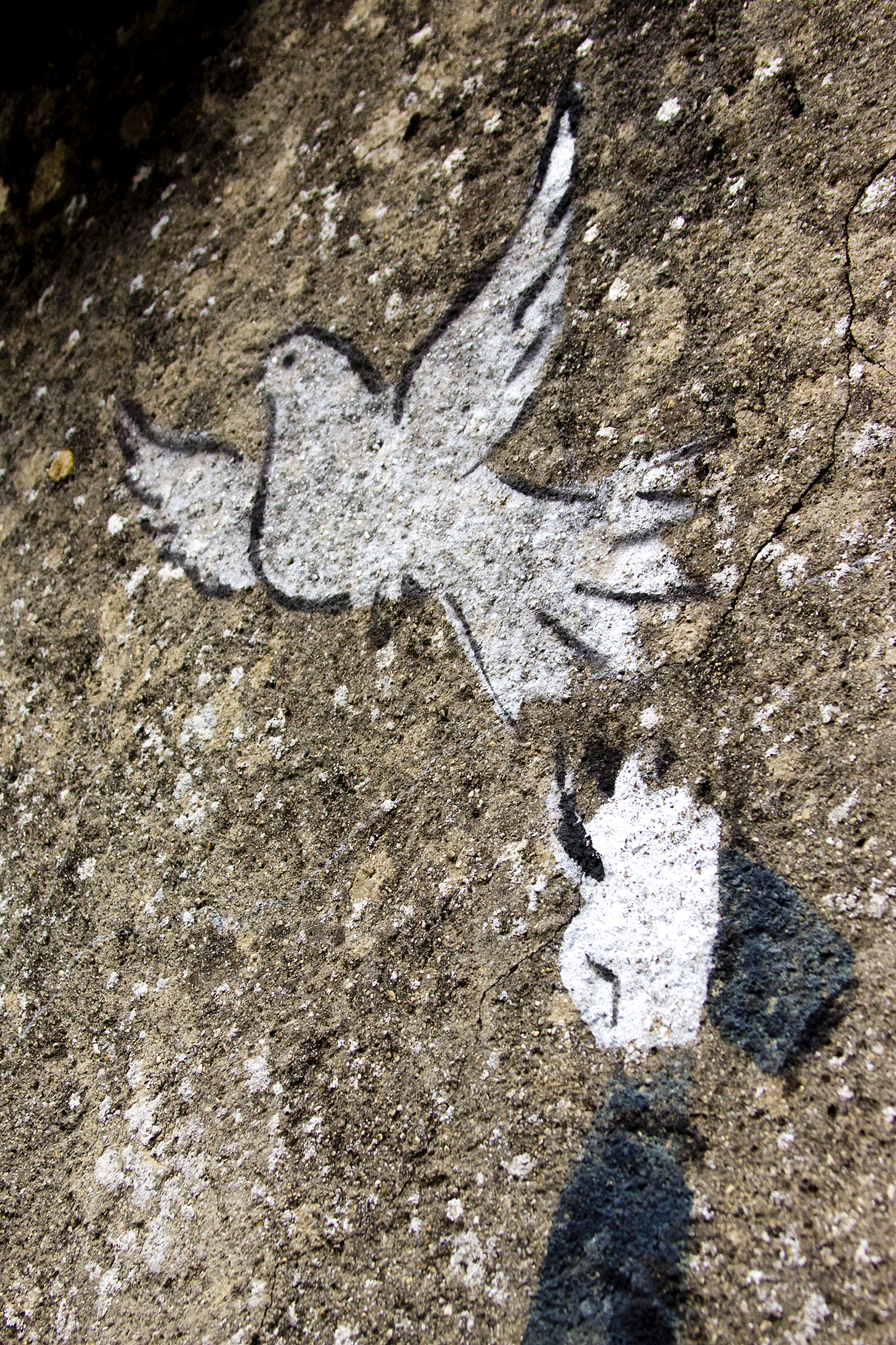Canon EF 28-135mm F3.5-5.6 IS USM sample photo. Street art photography