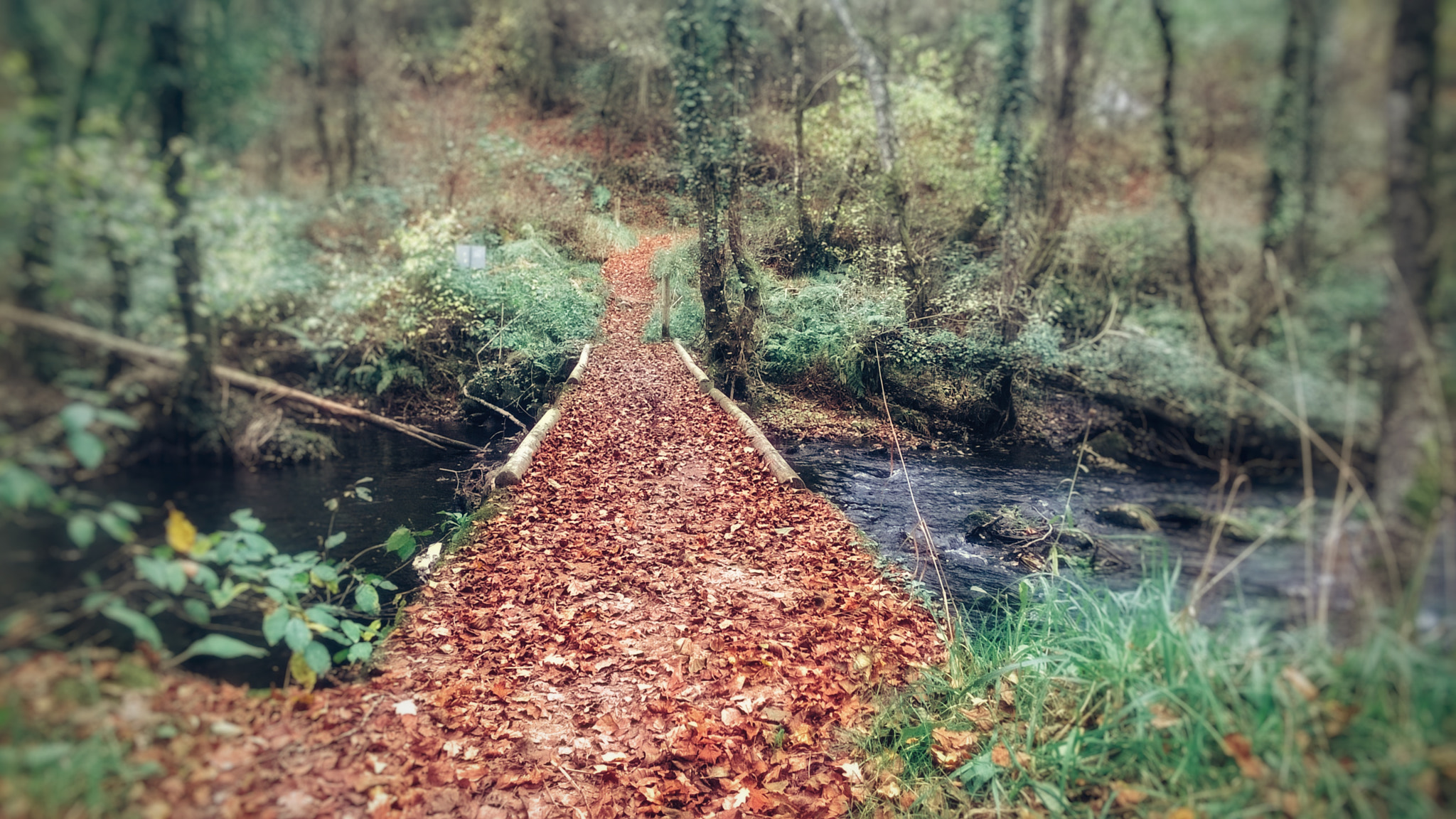 Nokia Lumia 830 sample photo