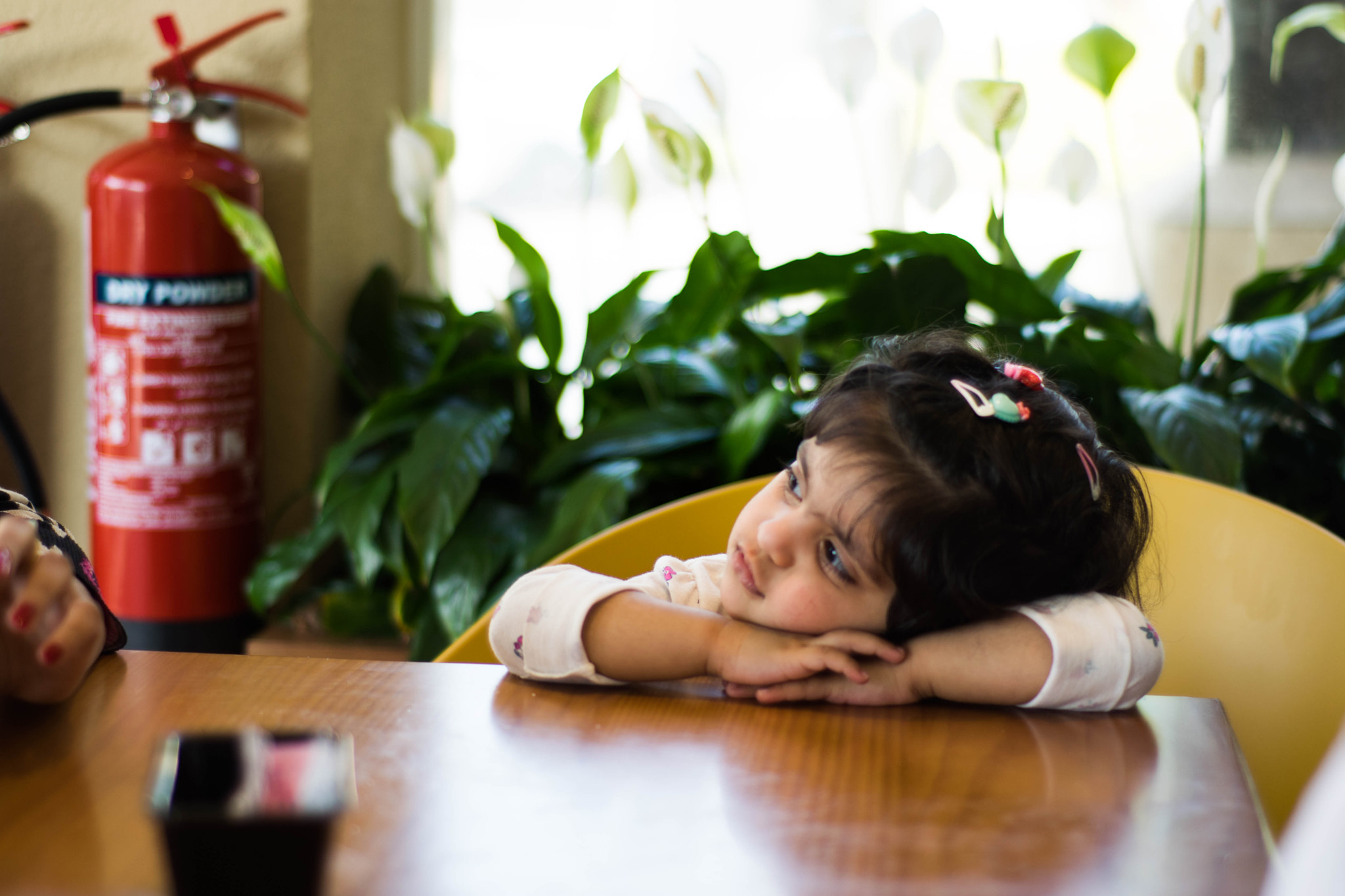Nikon D5300 + Nikon AF Nikkor 50mm F1.8D sample photo