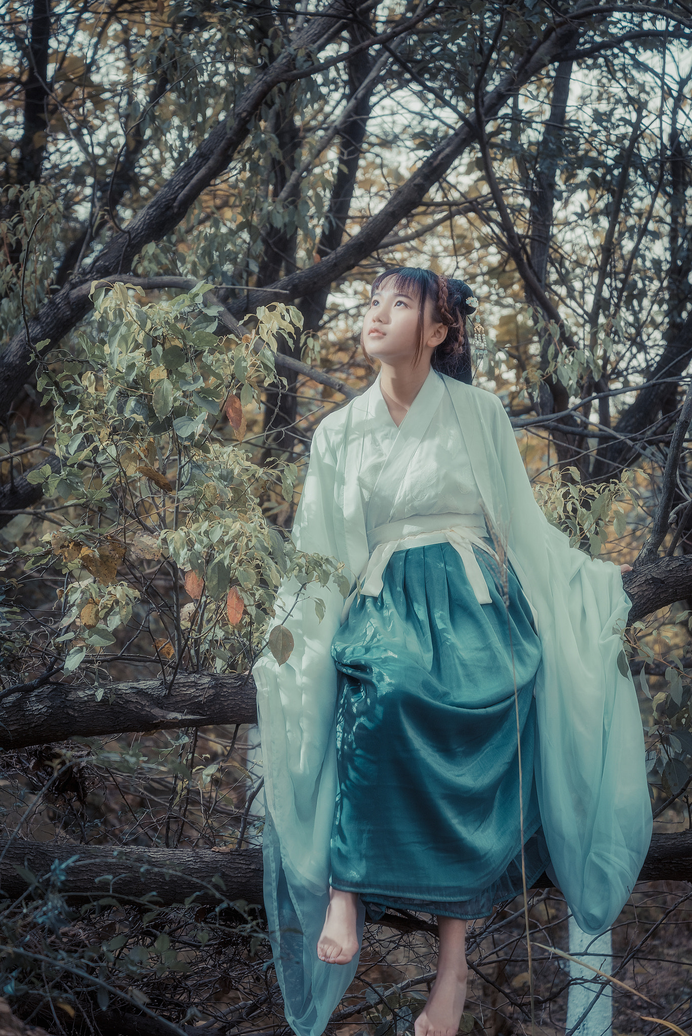 Nikon D810 + Nikon AF-S Nikkor 24-85mm F3.5-4.5G ED VR sample photo. Hanfu photography