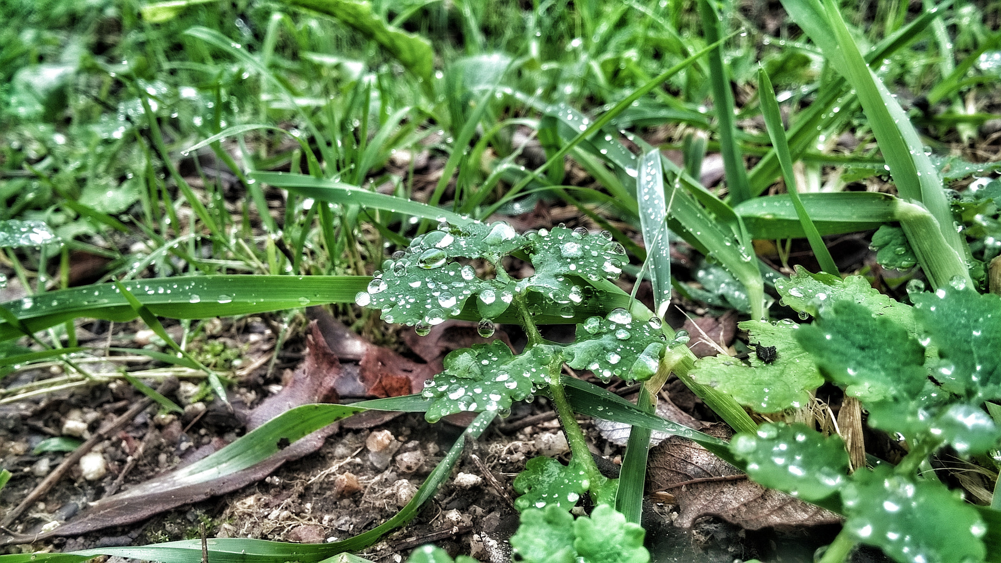 Nokia Lumia 830 sample photo