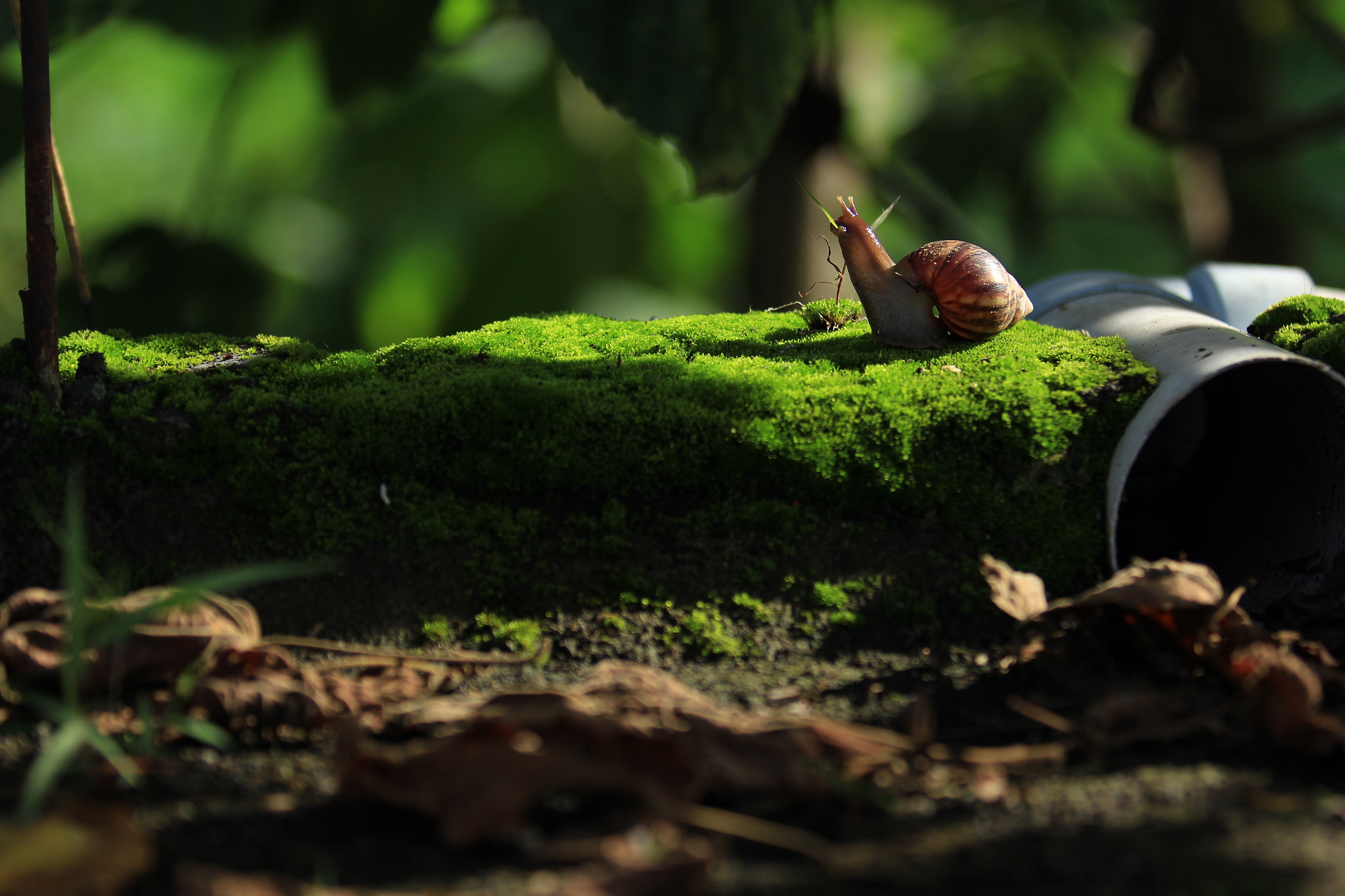 Canon EF 70-200mm F2.8L USM sample photo. Long time photography