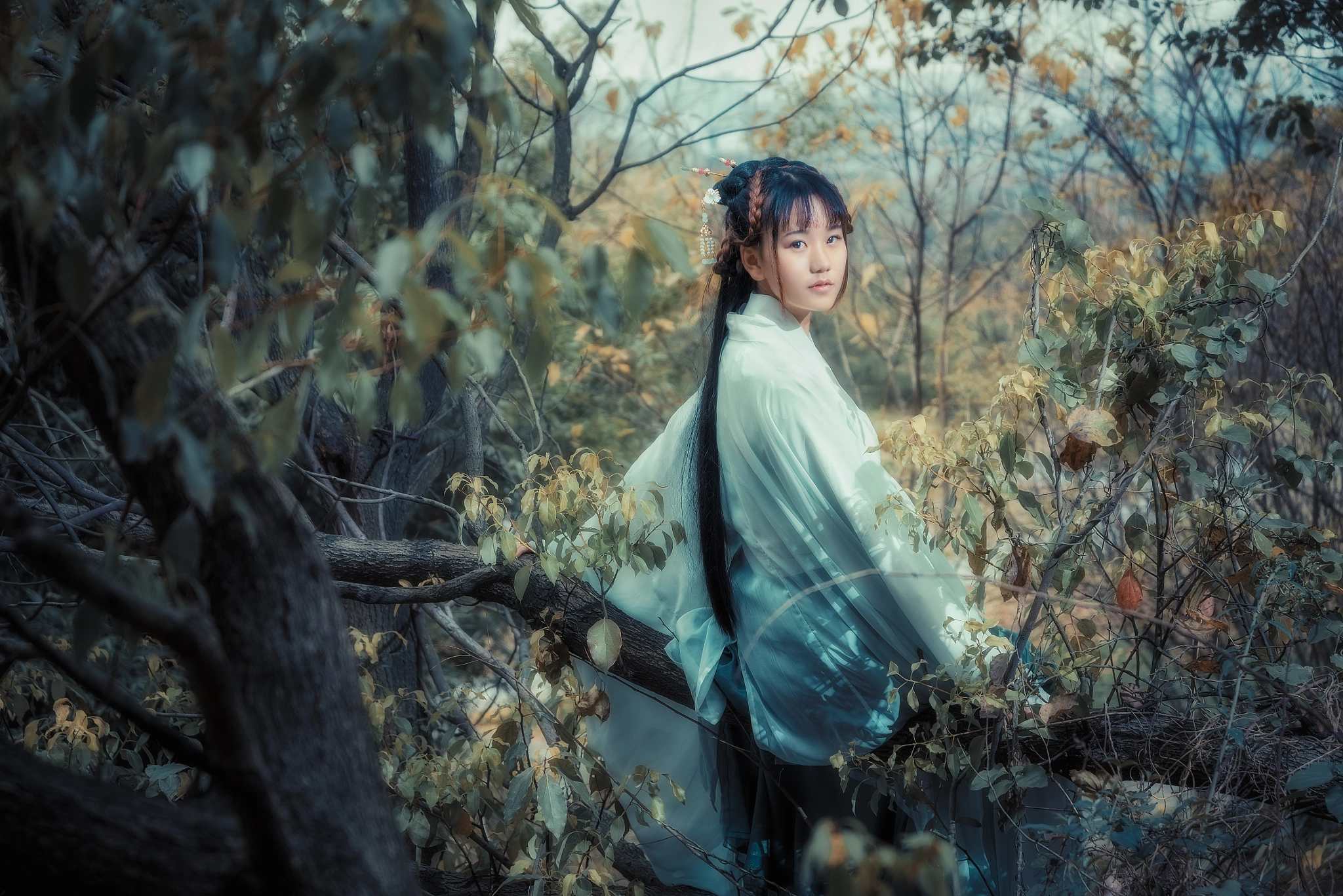 Nikon D810 sample photo. Hanfu photography