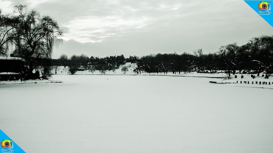 Nikon D50 sample photo. Life in b&w. photography