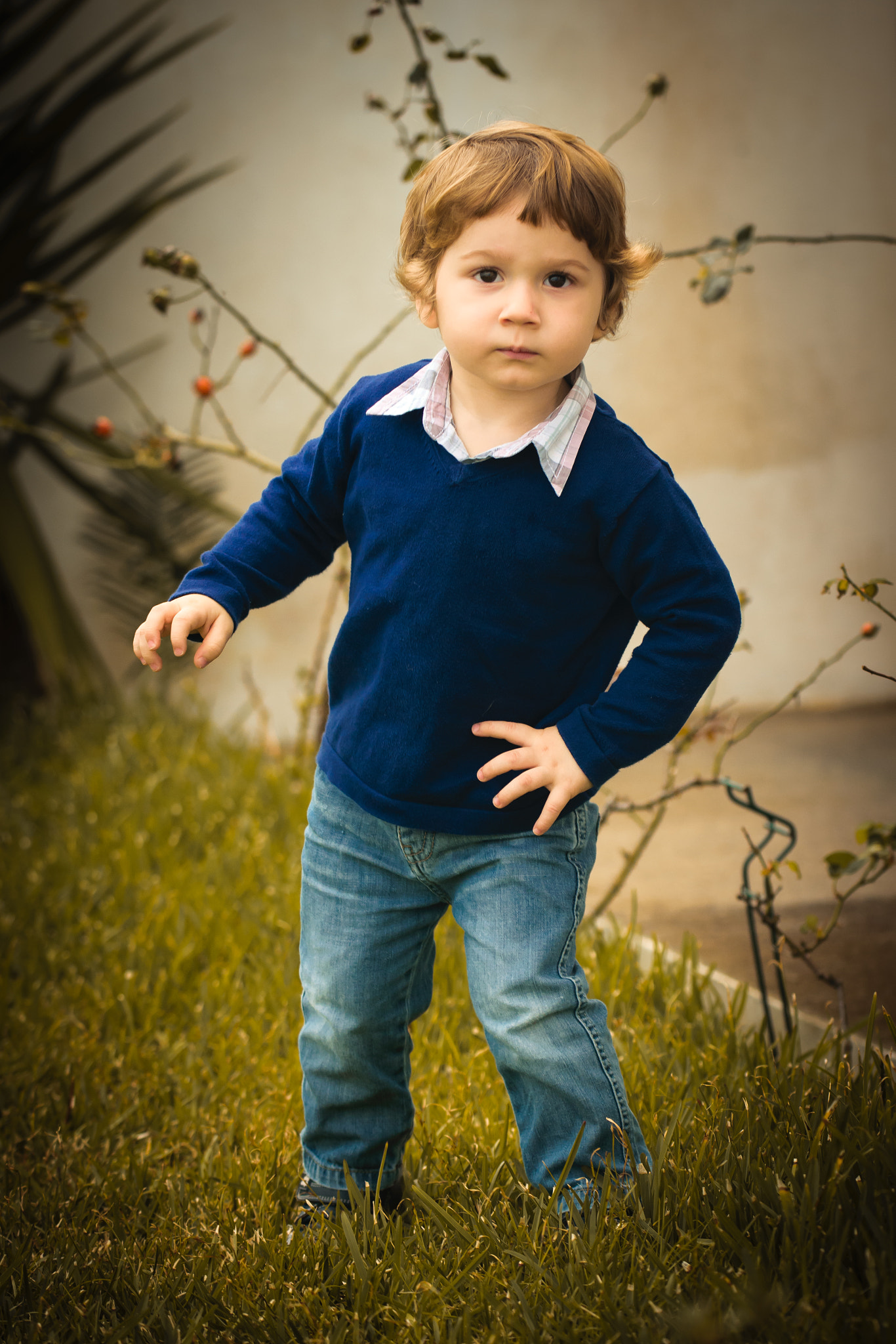 Nikon AF-S Nikkor 70-200mm F4G ED VR sample photo. Afonso photography