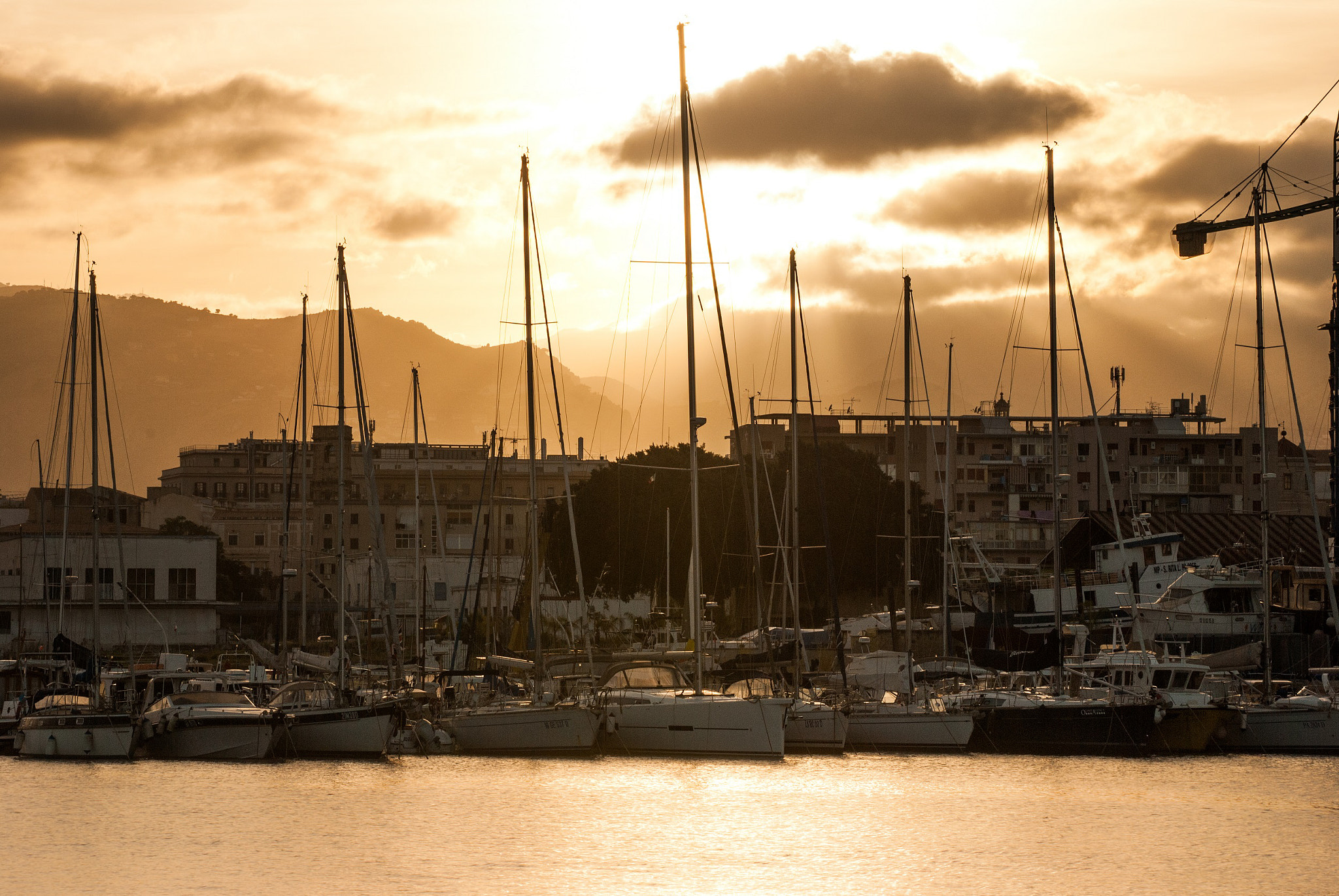 Nikon D3000 sample photo. Panormus photography