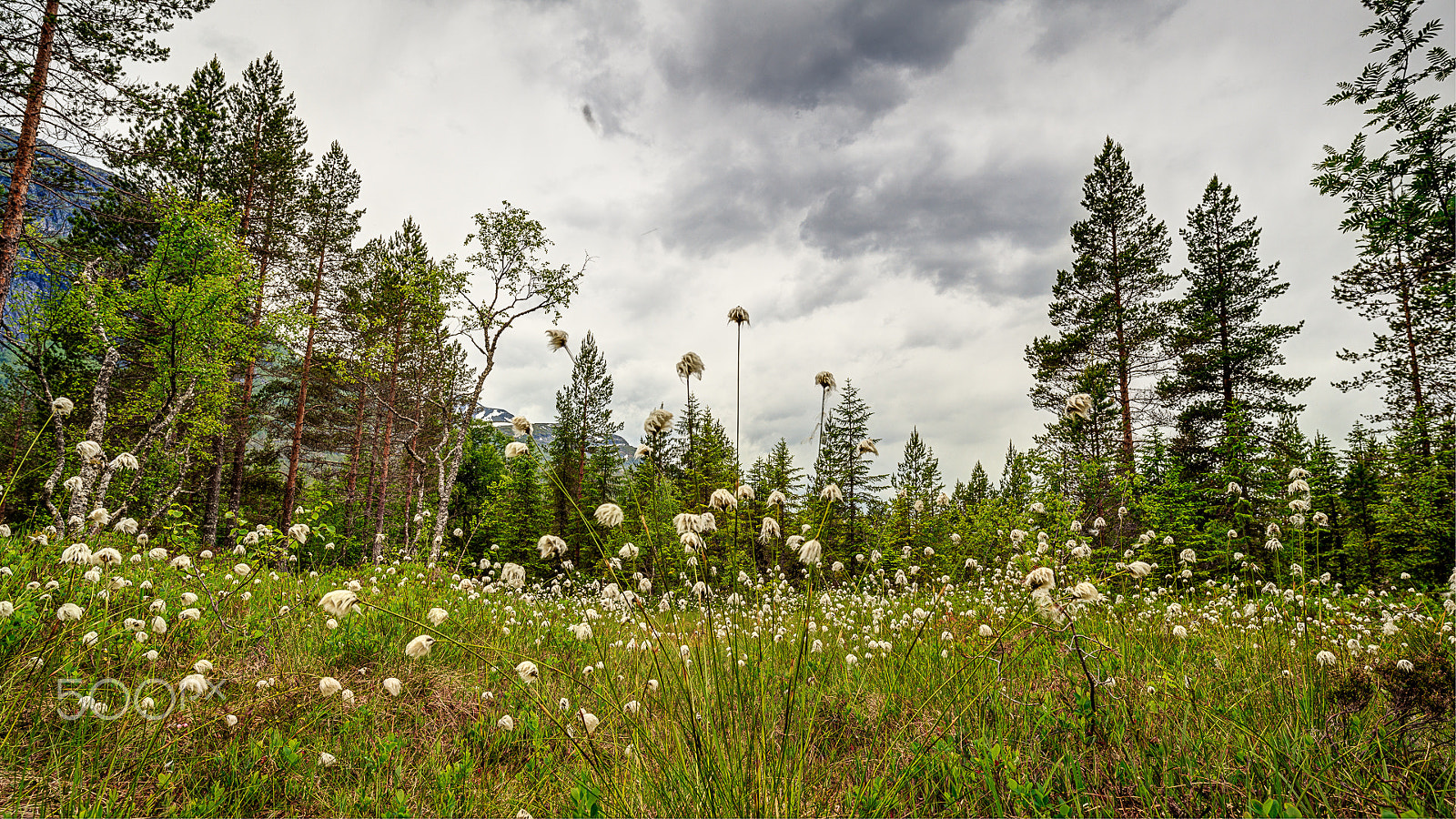 ZEISS Milvus 21mm F2.8 sample photo. Kårvatn, norway photography