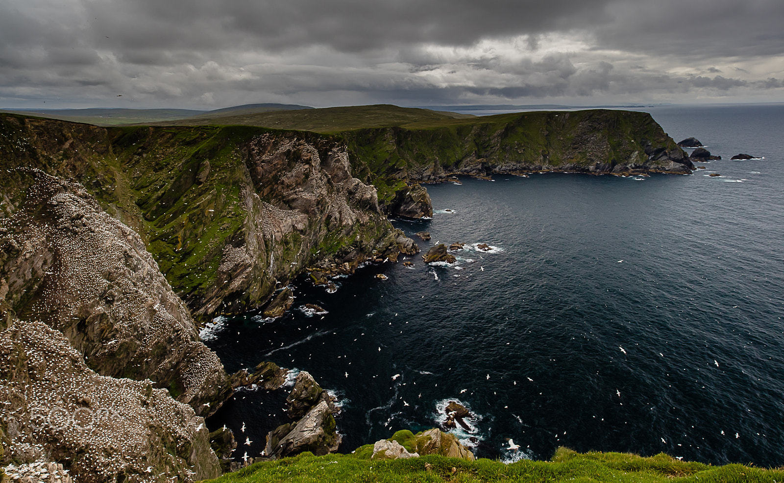 ZEISS Milvus 21mm F2.8 sample photo. Unst, shetland, uk photography