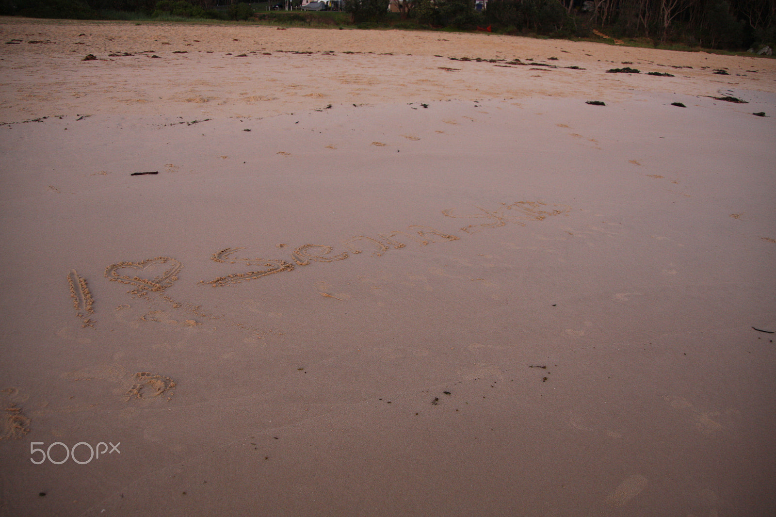 Canon EOS 40D sample photo. Img photography