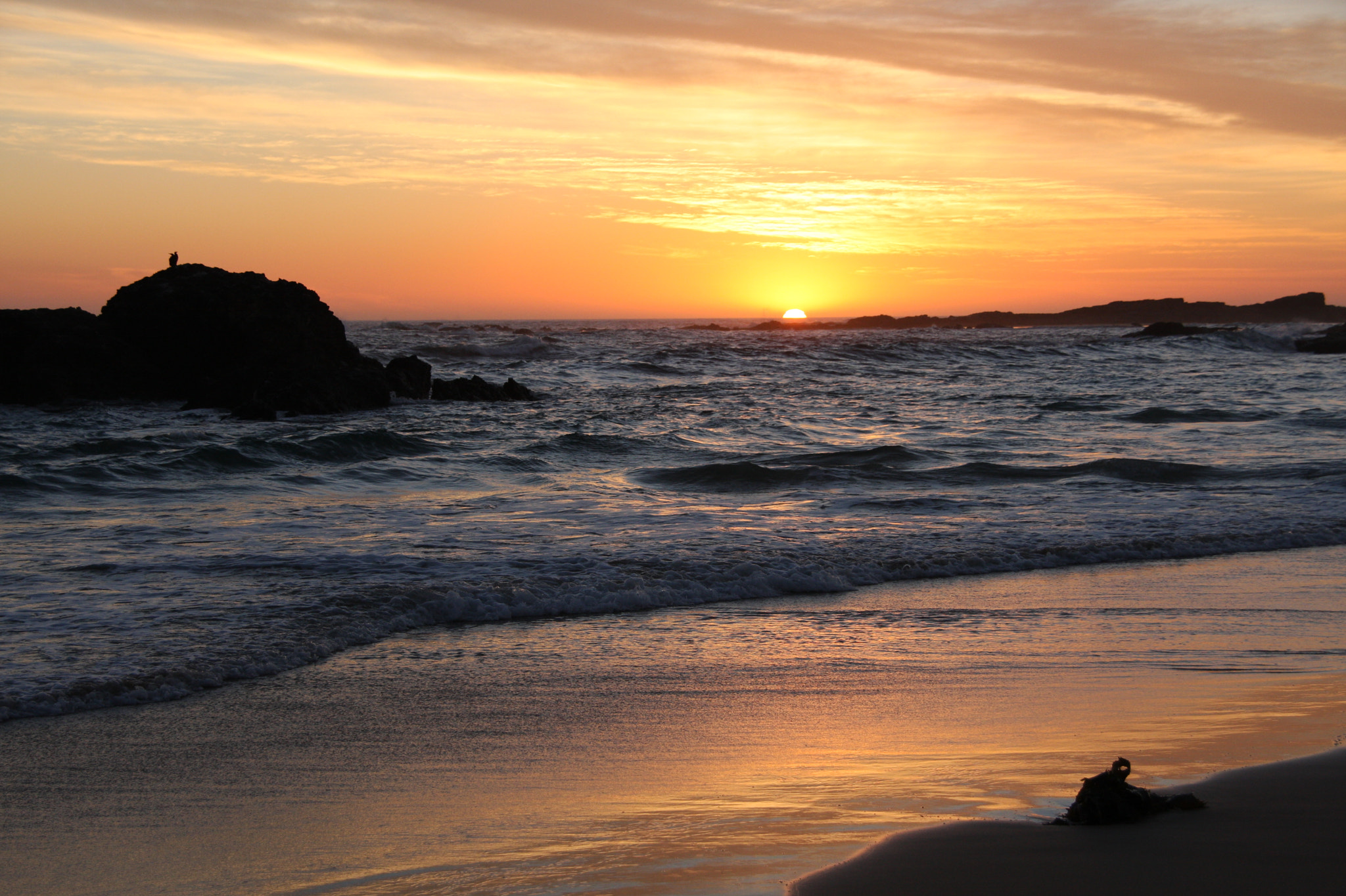 Canon EOS 40D sample photo. Img photography