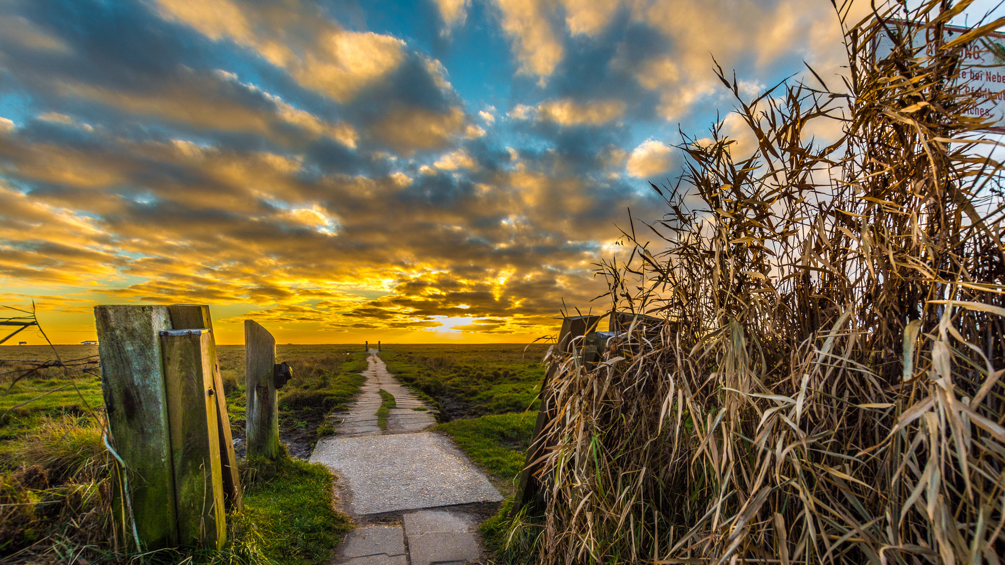 Nikon D5200 + Sigma 10-20mm F3.5 EX DC HSM sample photo. Spo photography