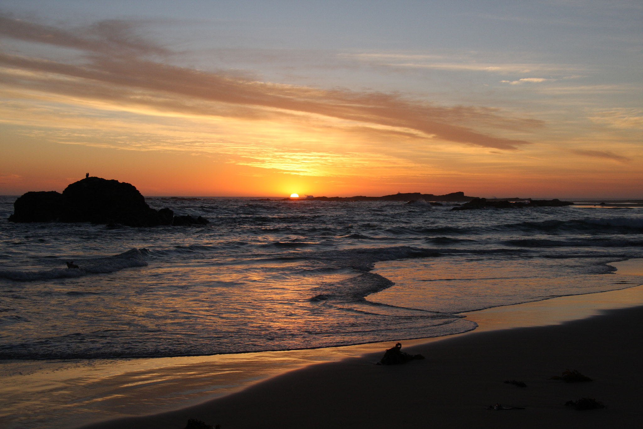 Canon EOS 40D sample photo. Img photography