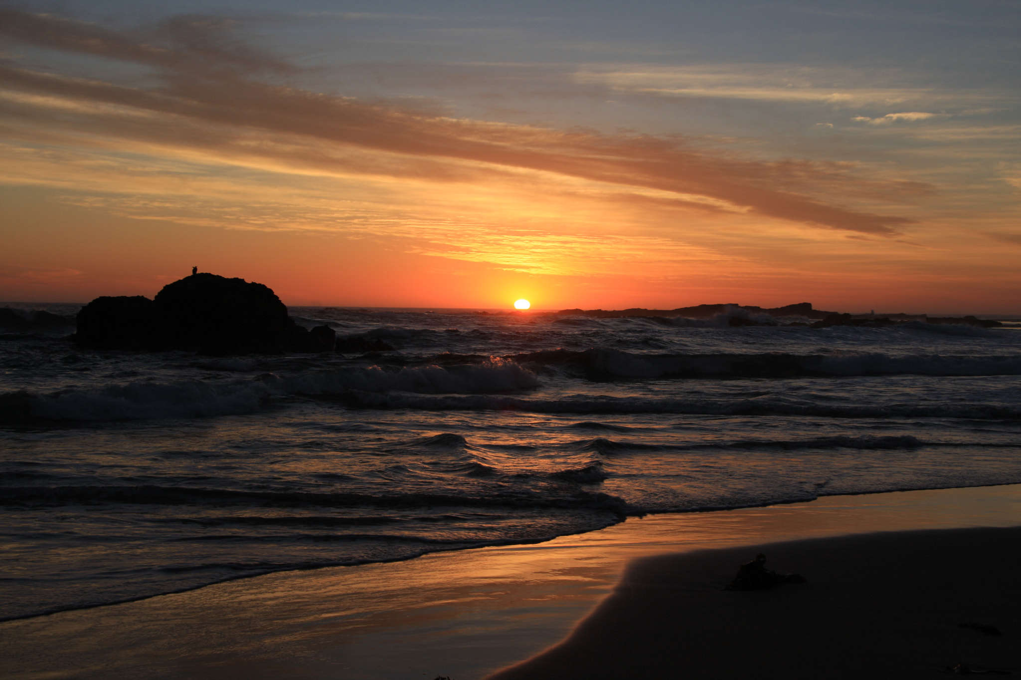 Canon EOS 40D sample photo. Img photography