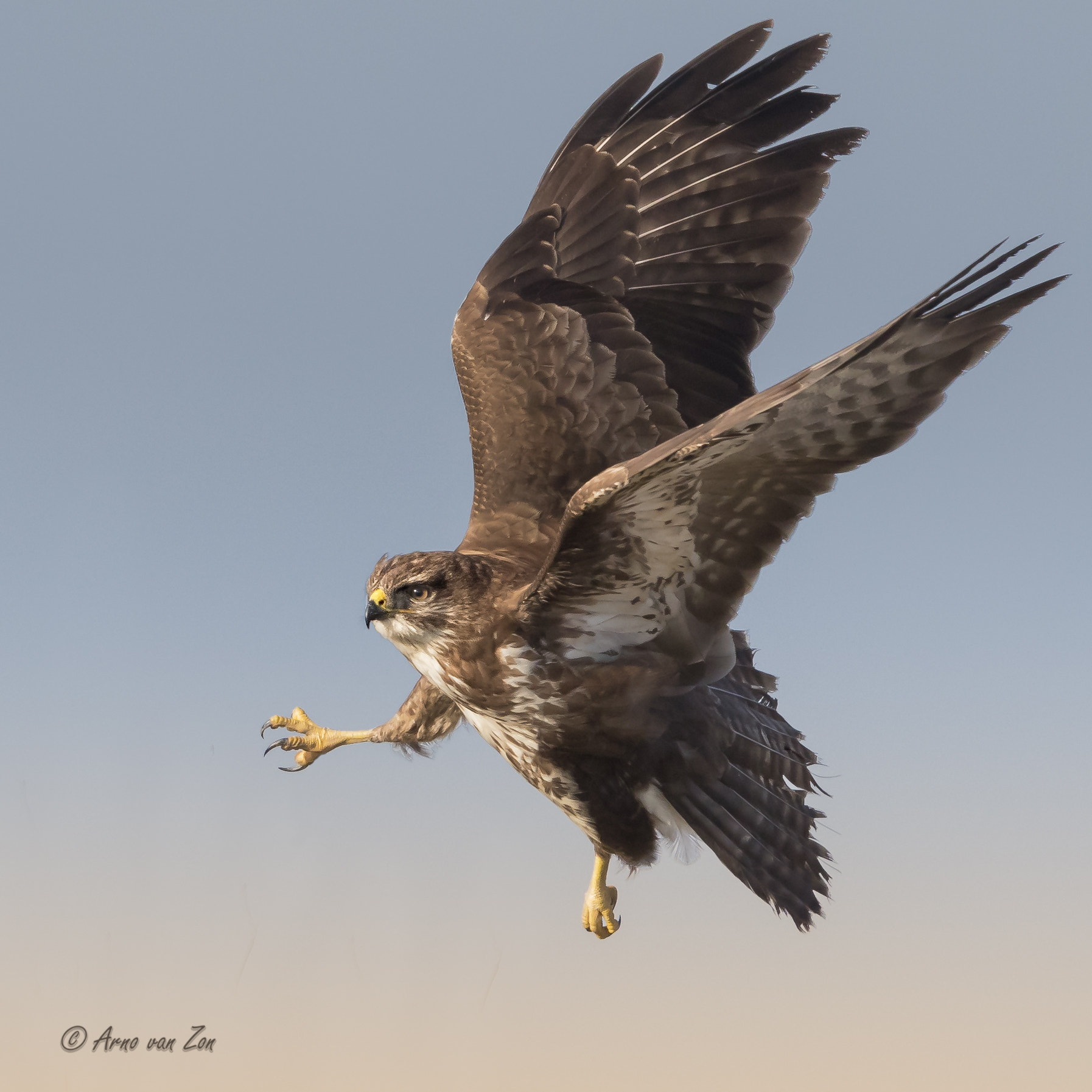 Canon EF 500mm F4L IS USM sample photo. Areobatics.... photography