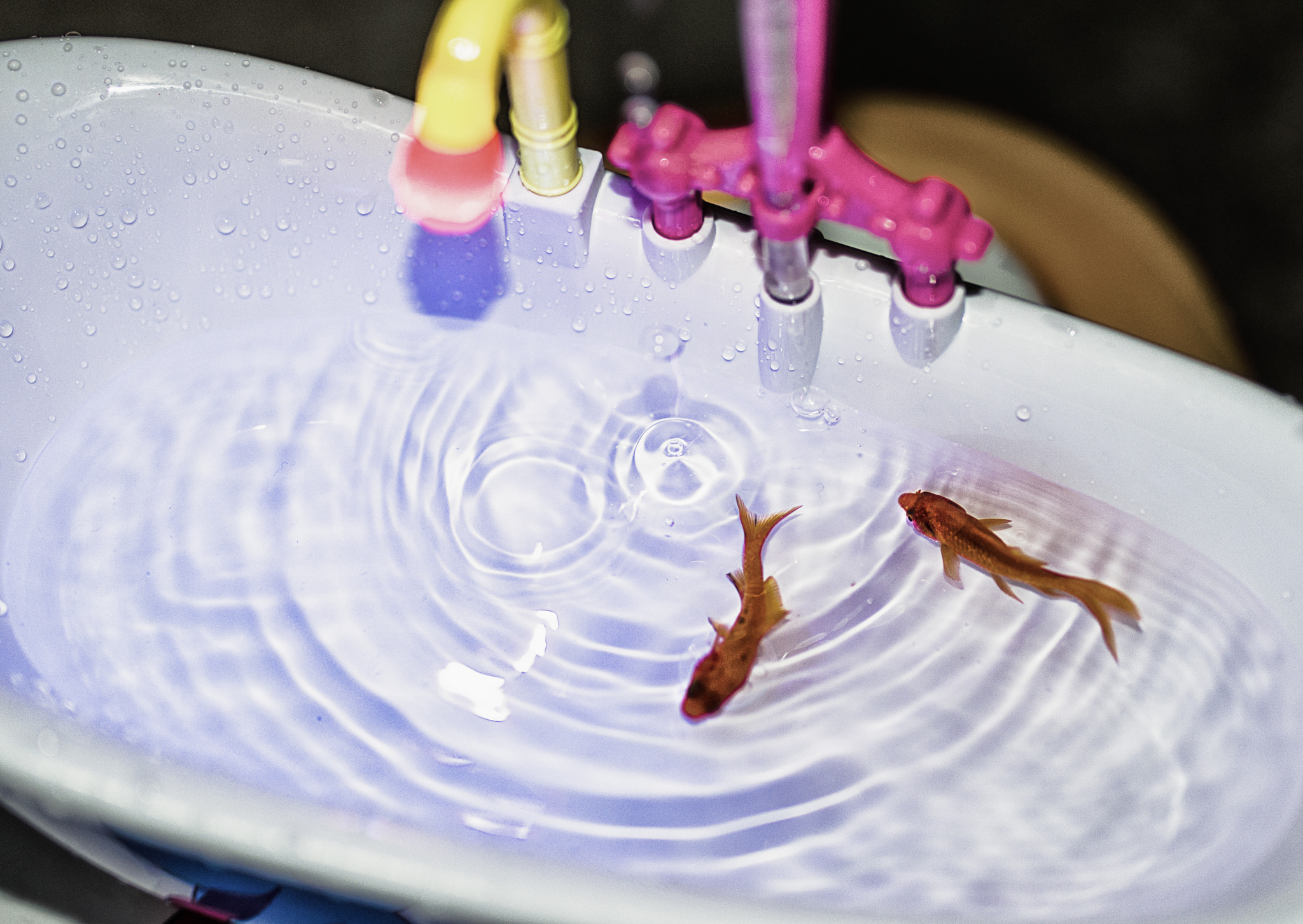 Nikon D800E + Sigma 35mm F1.4 DG HSM Art sample photo
